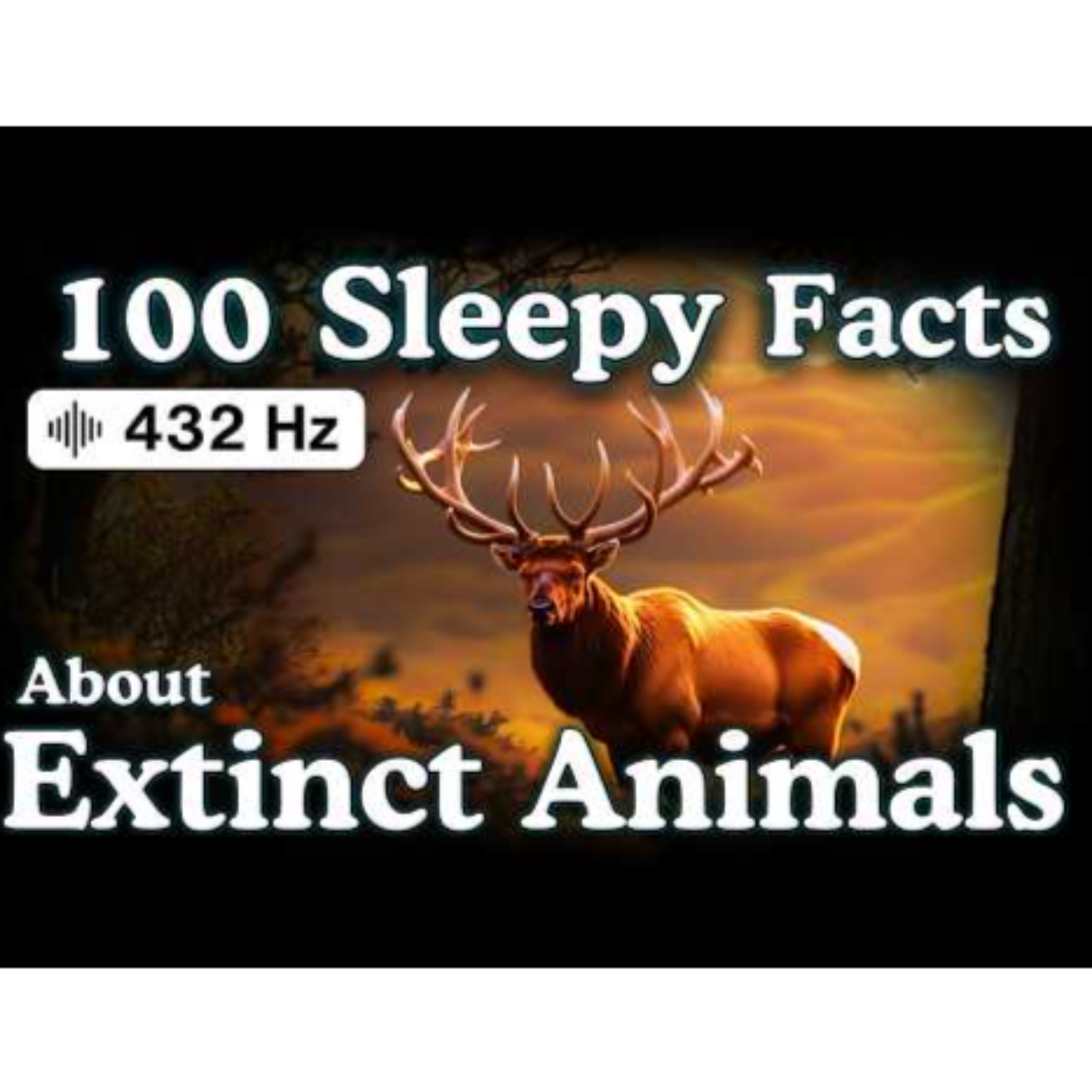 The Most Relaxing Facts About Extinct Animals to Fall Asleep To — No Adverts - Sleepy Science Channel
