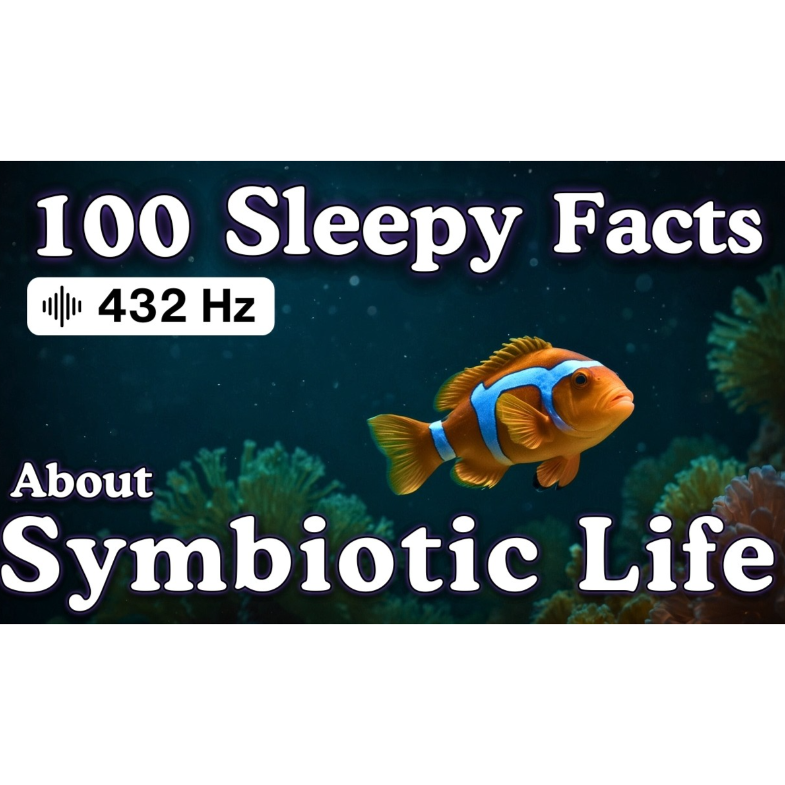 The Most Relaxing Facts About Symbiotic Life to Fall Asleep To — No Adverts - Sleepy Science Channel