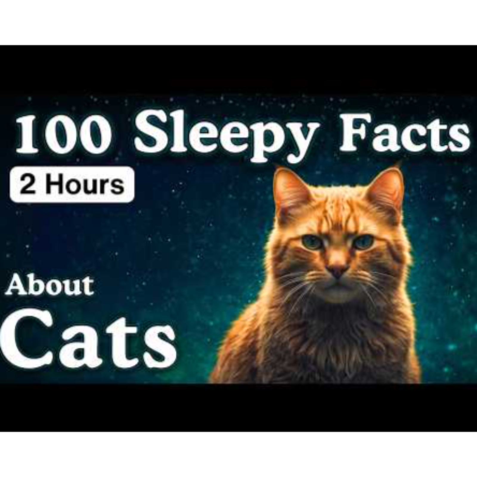 The Most Relaxing Facts About Cats to Fall Asleep To - Sleepy Science Channel