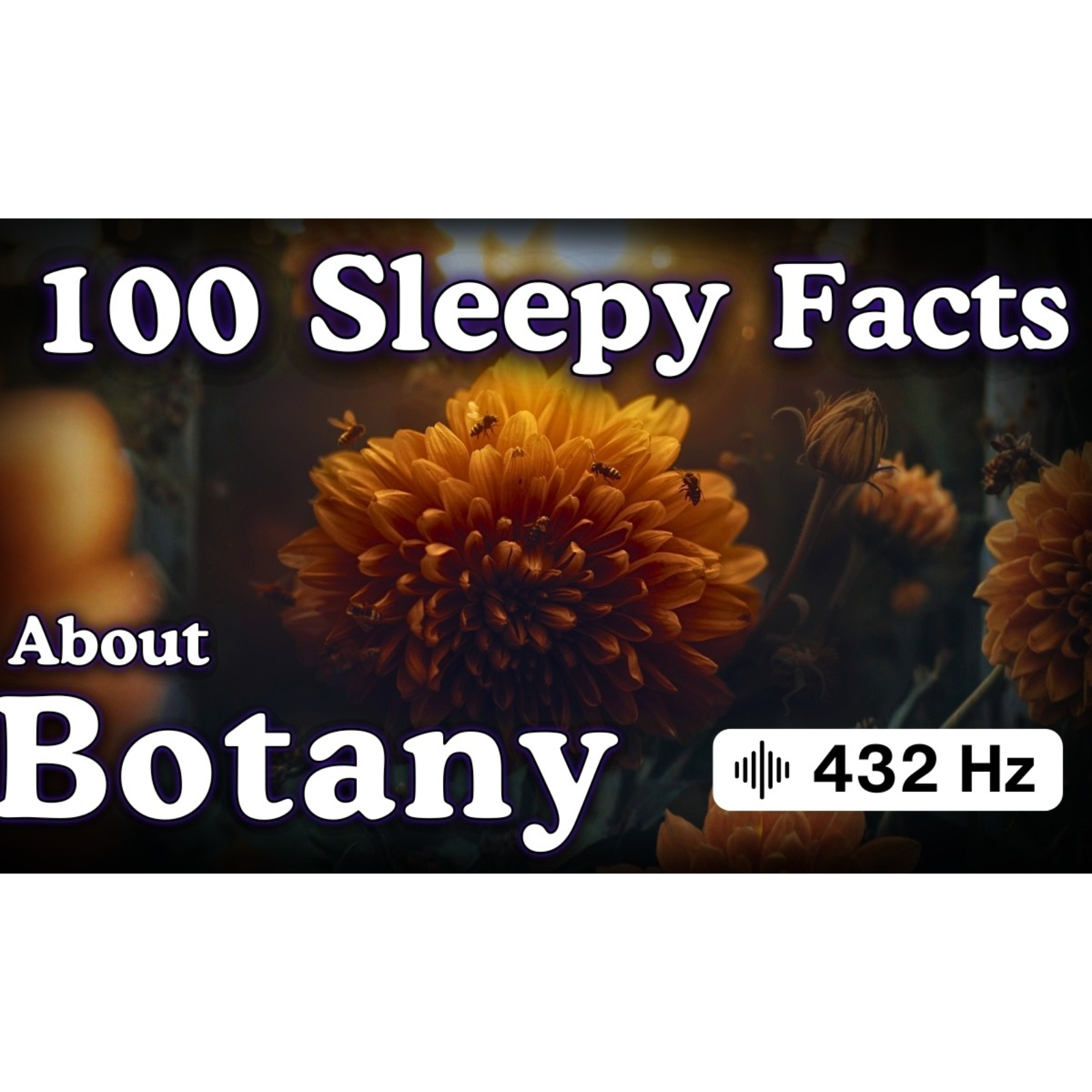 The Most Relaxing Facts About Botany to Fall Asleep To — No Adverts - Sleepy Science Channel 