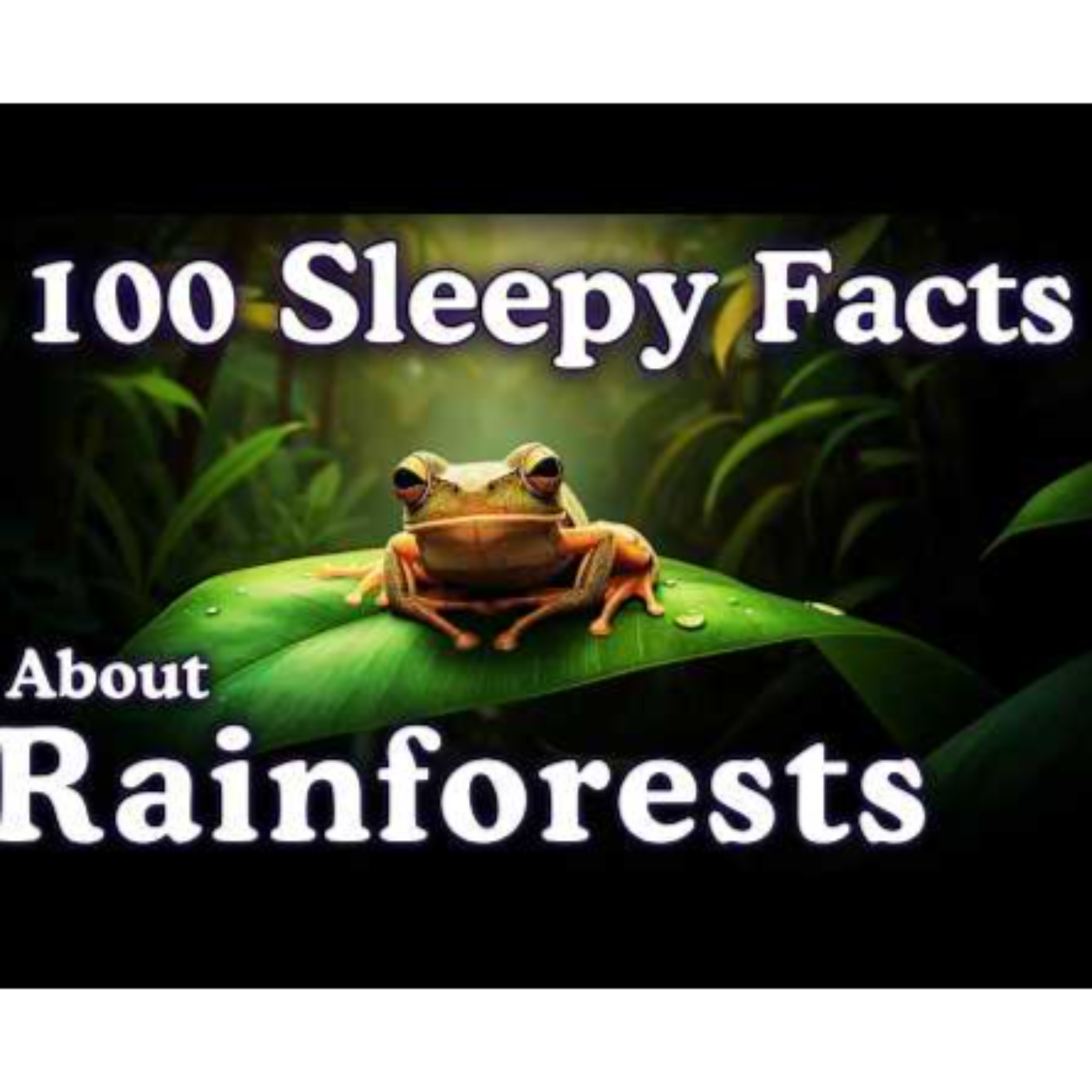 The Most Relaxing Facts About Rainforests to Fall Asleep To - Sleepy Science Channel