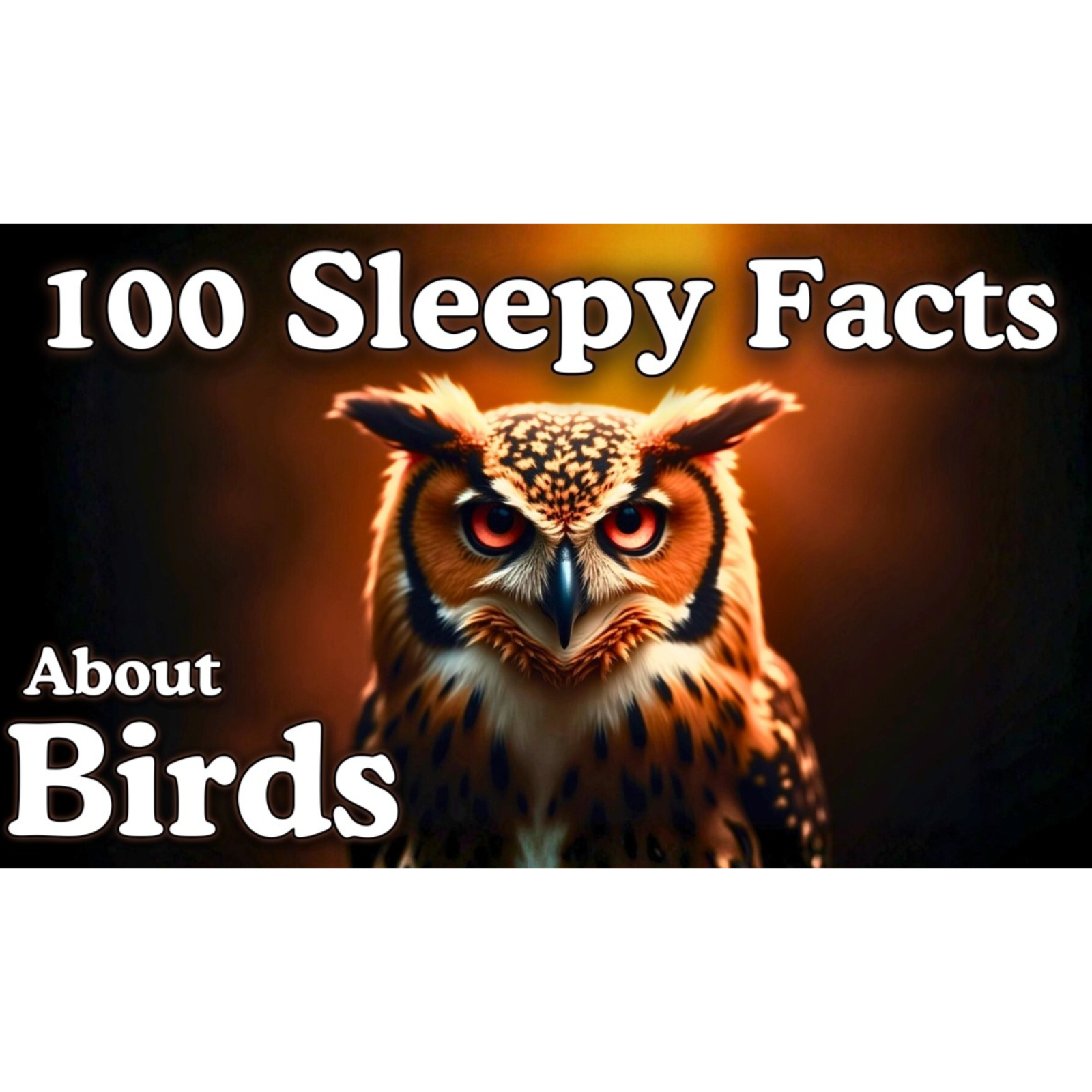 The Most Relaxing Facts About Birds to Fall Asleep To - Dreamy Science - Sleepy Science Channel