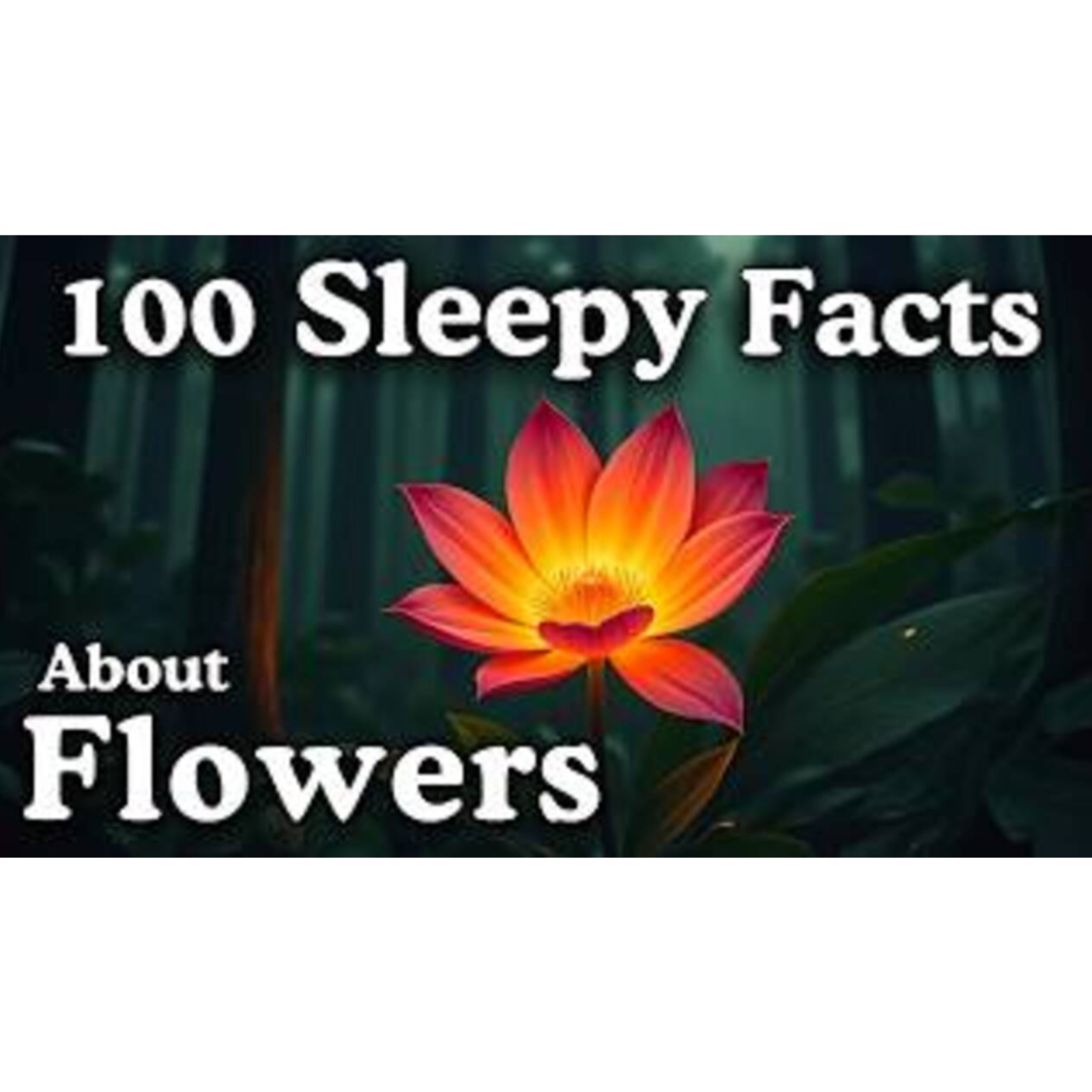 The Most Relaxing Facts About Flowers to Fall Asleep To - Dreamy Science - Sleepy Science Channel