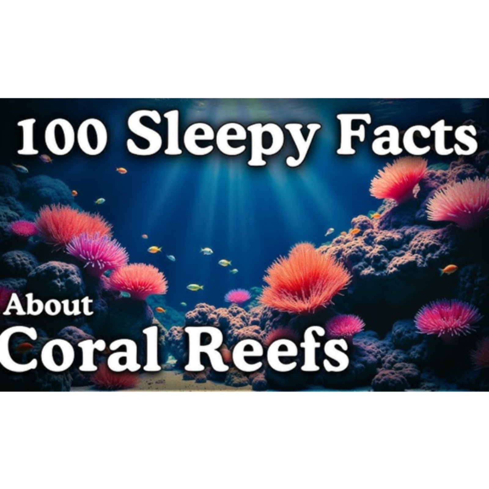 The Most Relaxing Facts About Coral Reefs to Fall Asleep To - Dreamy Science - Sleepy Science Channel