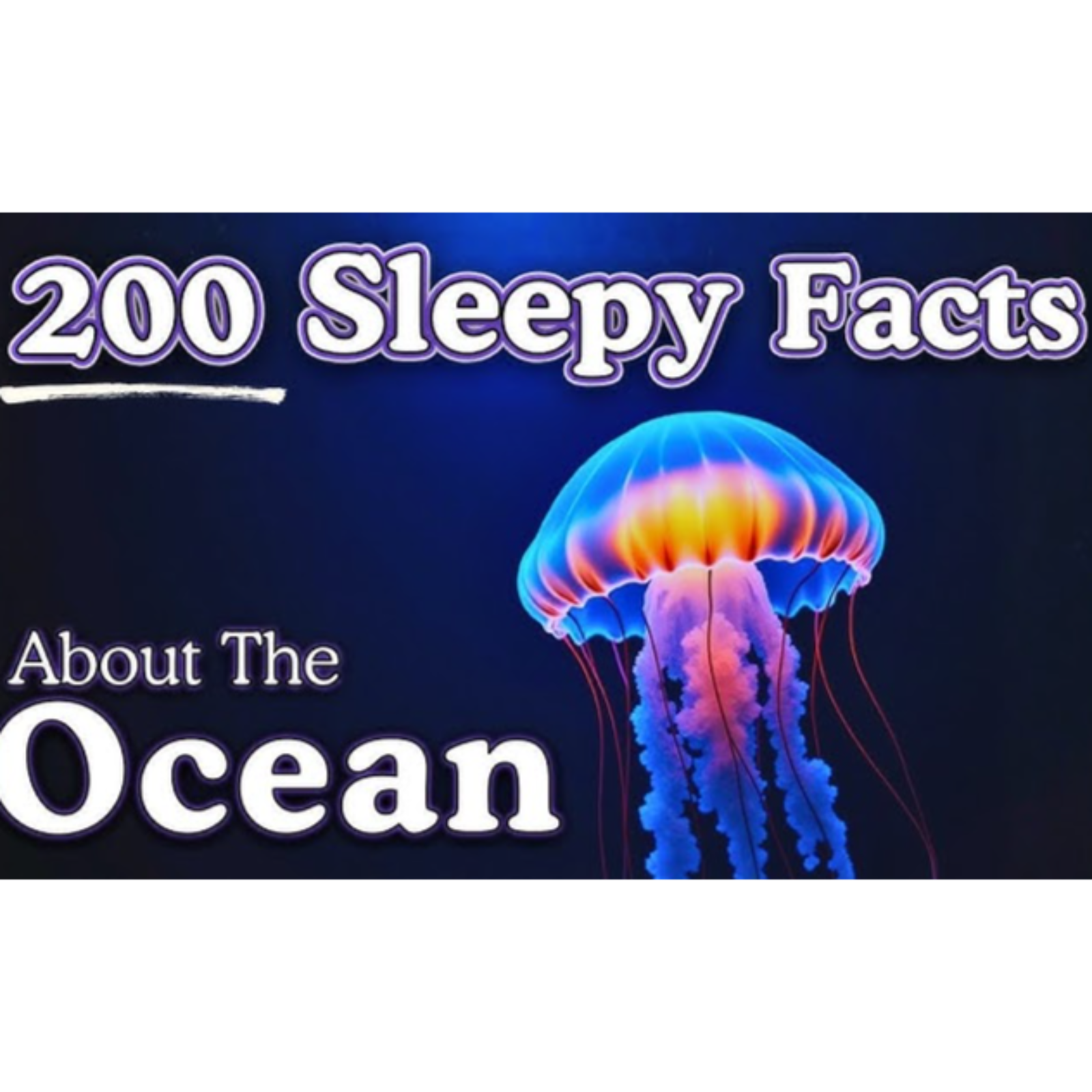 The Most Relaxing Facts About Sea Creatures to Fall Asleep To - Sleepy Science Channel