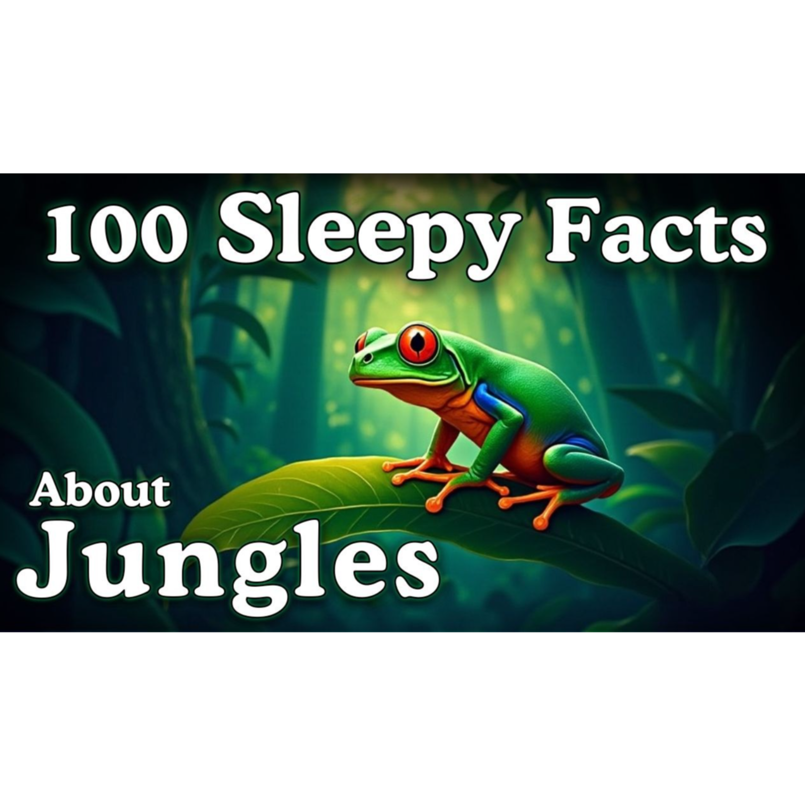 The Most Relaxing Facts About Life in The Jungle to Fall Asleep To _ No Adverts