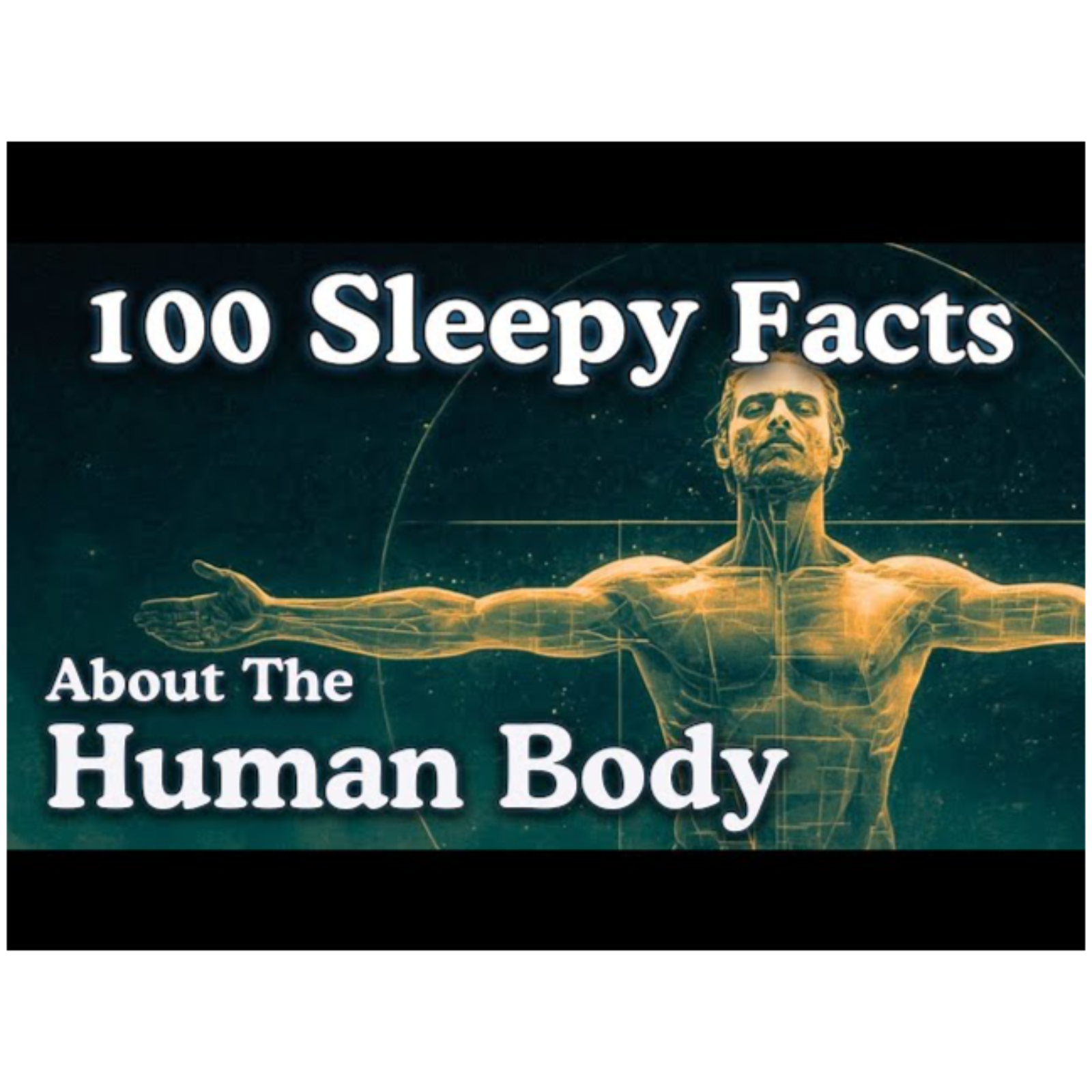 The Most Relaxing Facts About The Human Body to Fall Asleep To _ No Adverts
