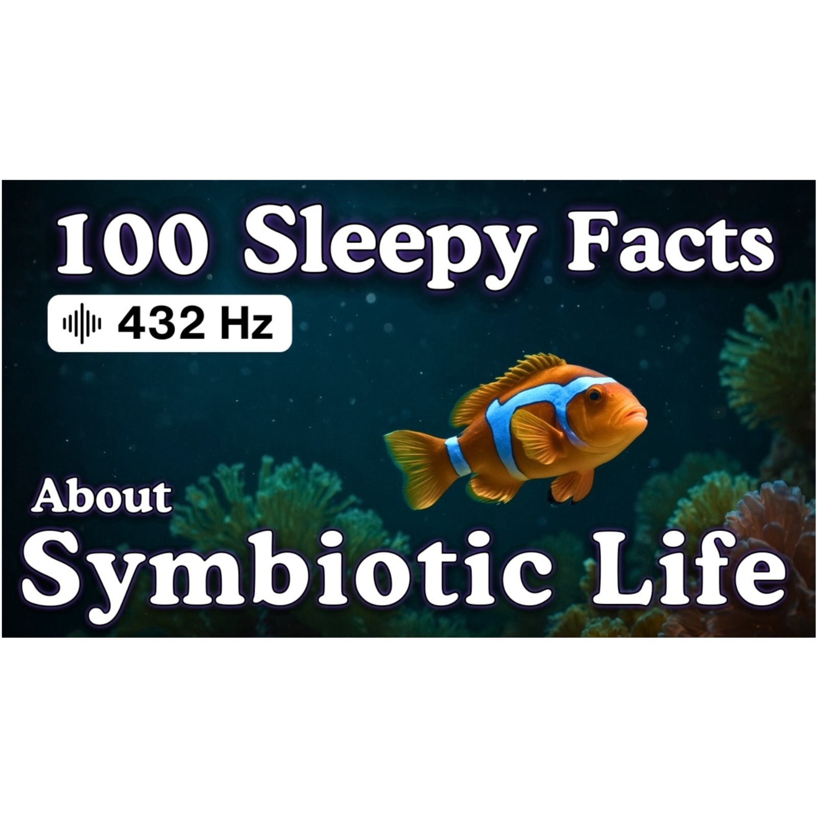 The Most Relaxing Facts About Symbiotic Life to Fall Asleep To _ No Adverts