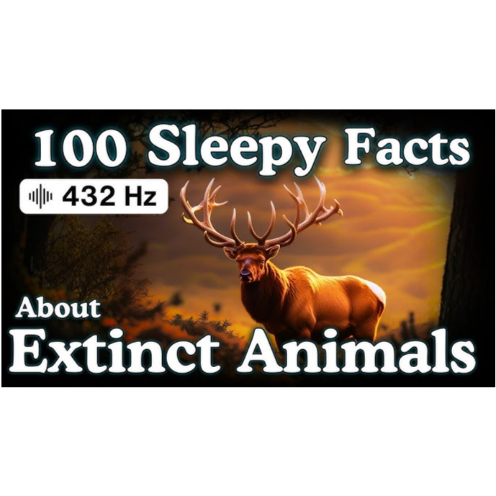 The Most Relaxing Facts About Extinct Animals to Fall Asleep To _ No Adverts