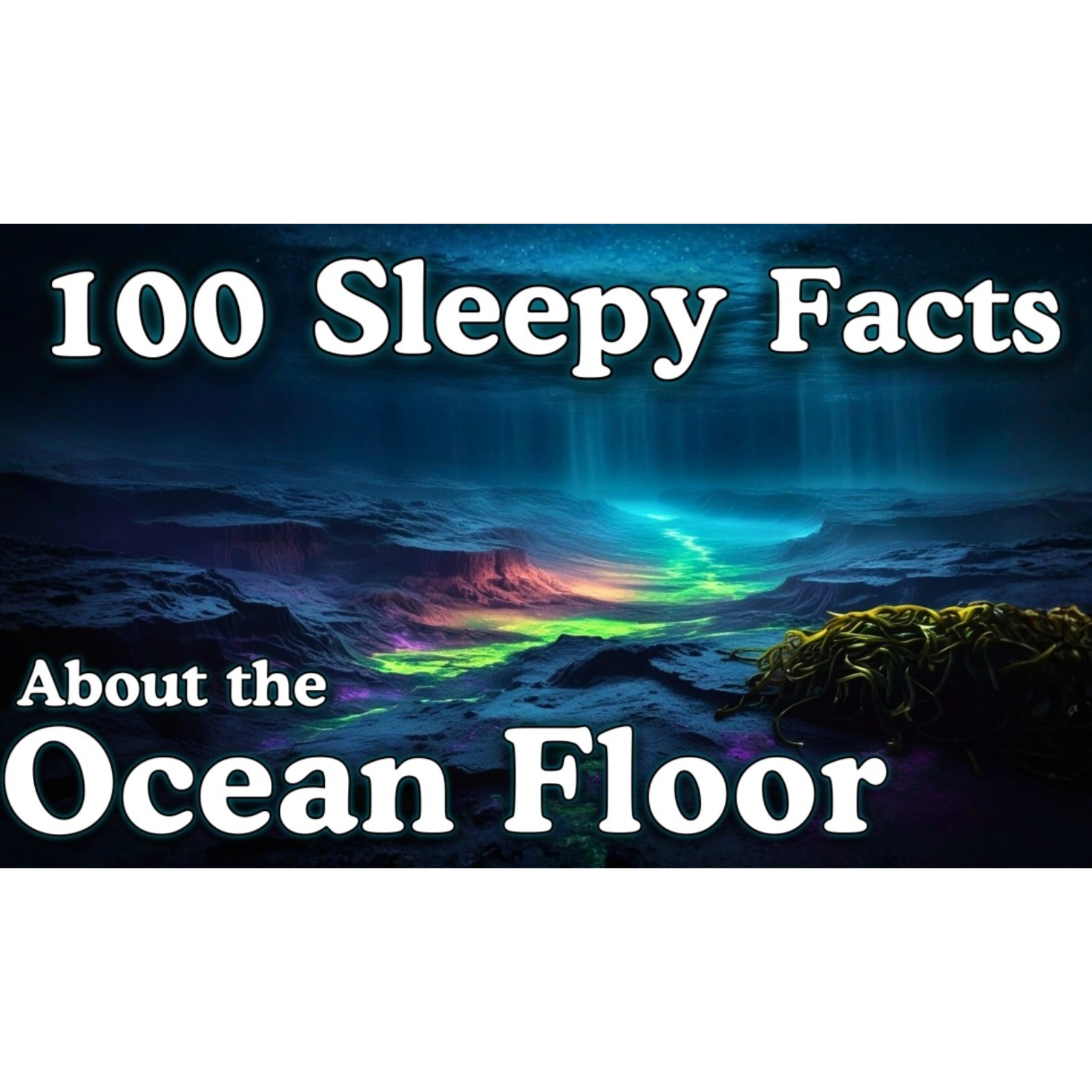The Most Relaxing Facts About The Ocean Floor to Fall Asleep To _ No Adverts