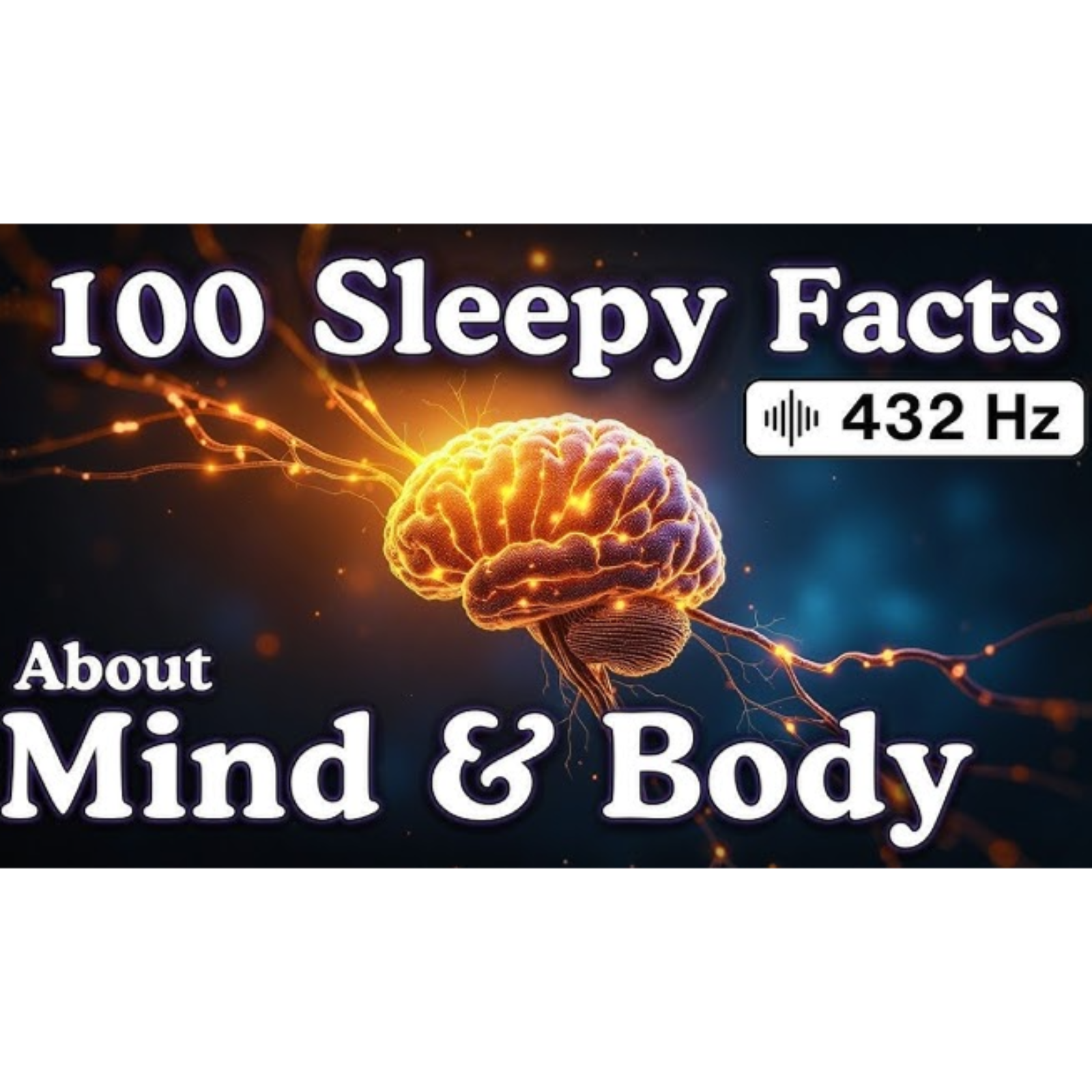 The Most Relaxing Facts About Mind _ Body to Fall Asleep To _ No Adverts