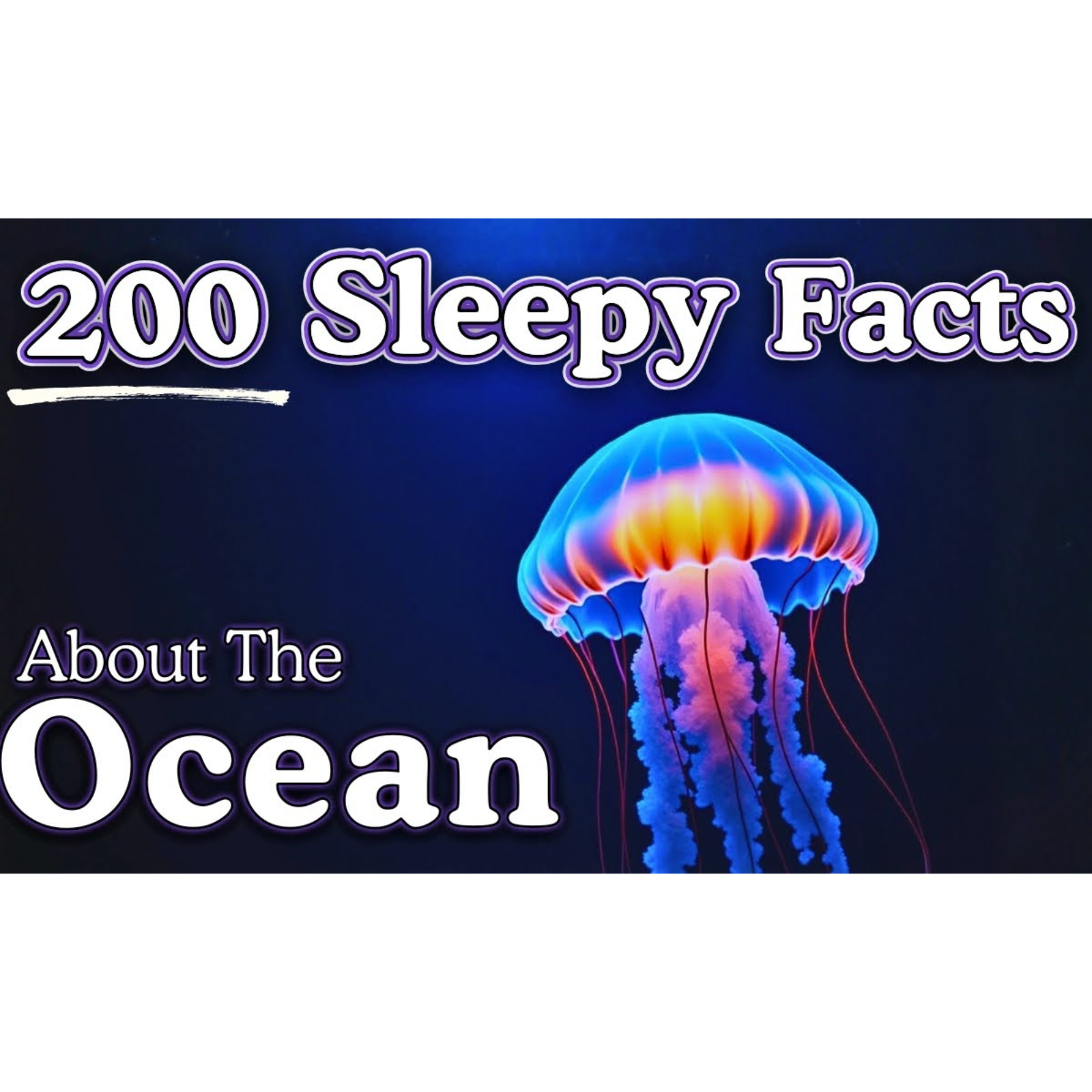 The Most Relaxing Facts About The Ocean Floor to Fall Asleep To _ No Adverts