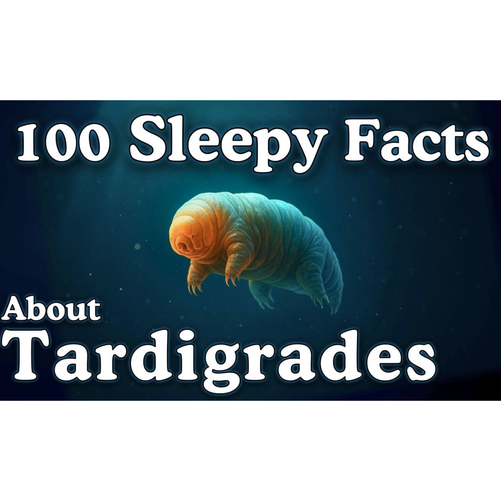 100 Tardigrade Facts to Fall Asleep To _ Dreamy Science