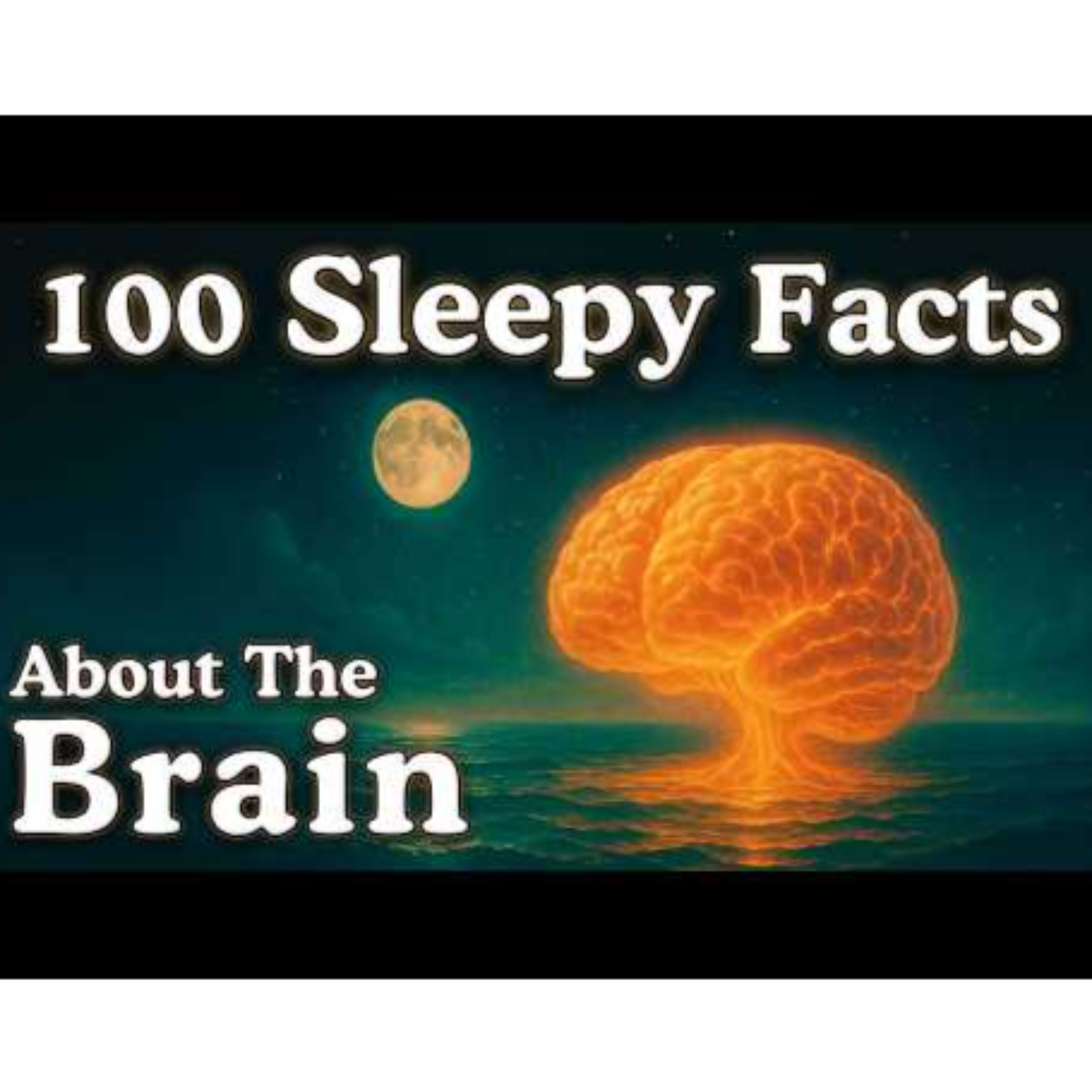 100 Facts About The Brain _ Fall Asleep to Science