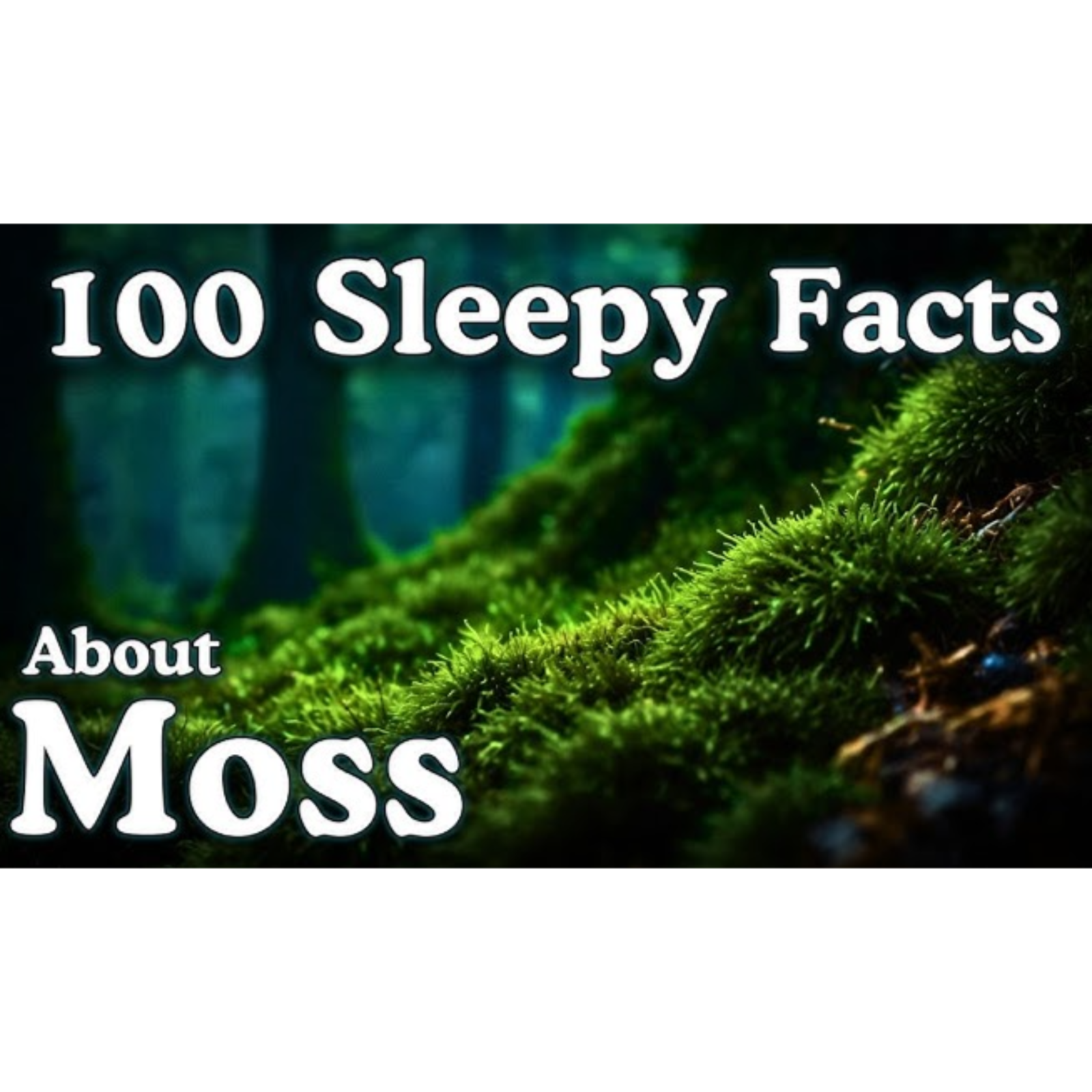 The Most Relaxing Facts About Moss to Fall Asleep To _ No Adverts