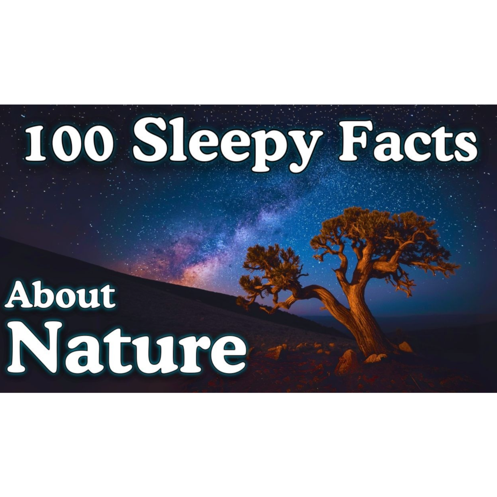 The Most Relaxing Nature Facts to Fall Asleep To