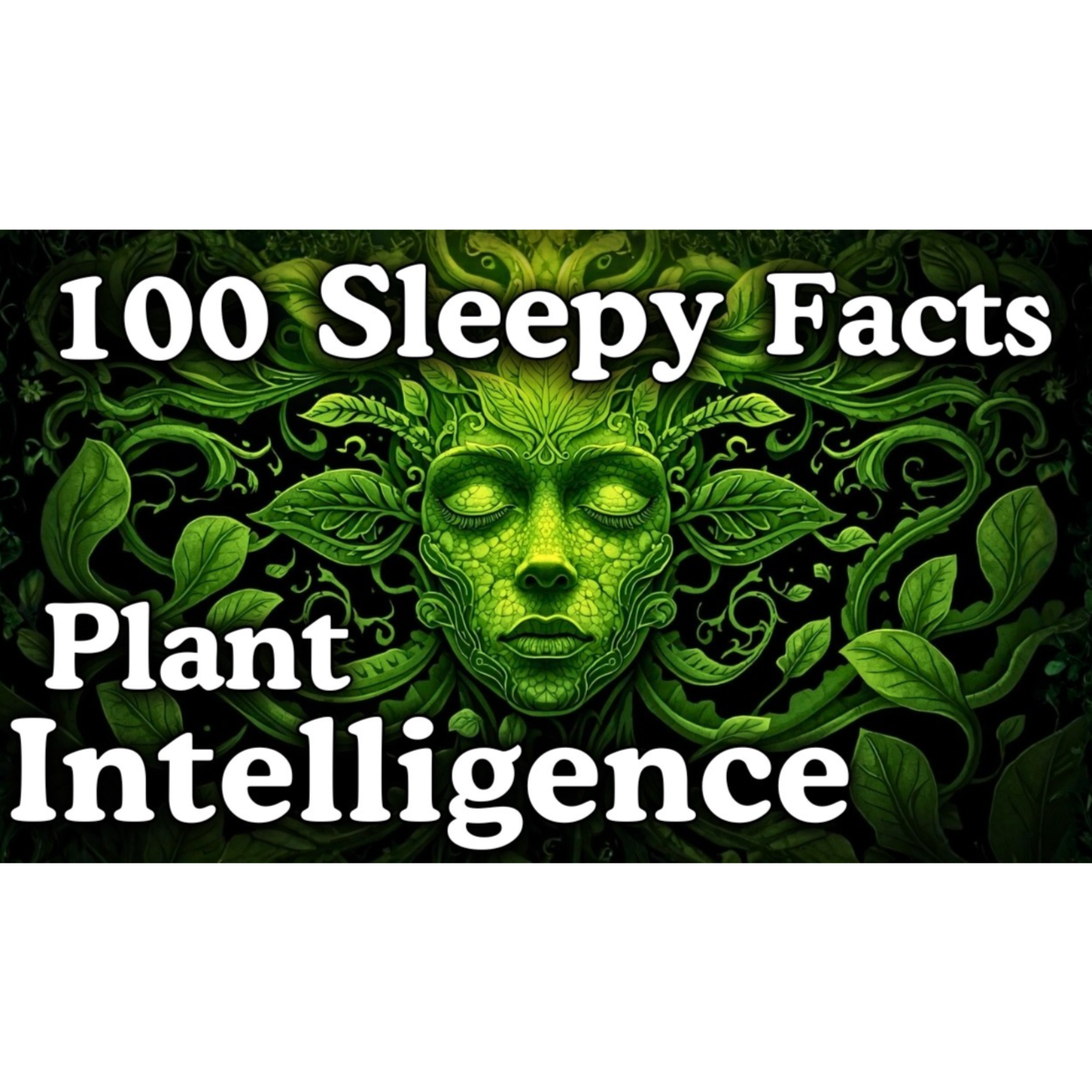 The Most Relaxing Facts About Plant Intelligence to Fall Asleep To _ No Adverts
