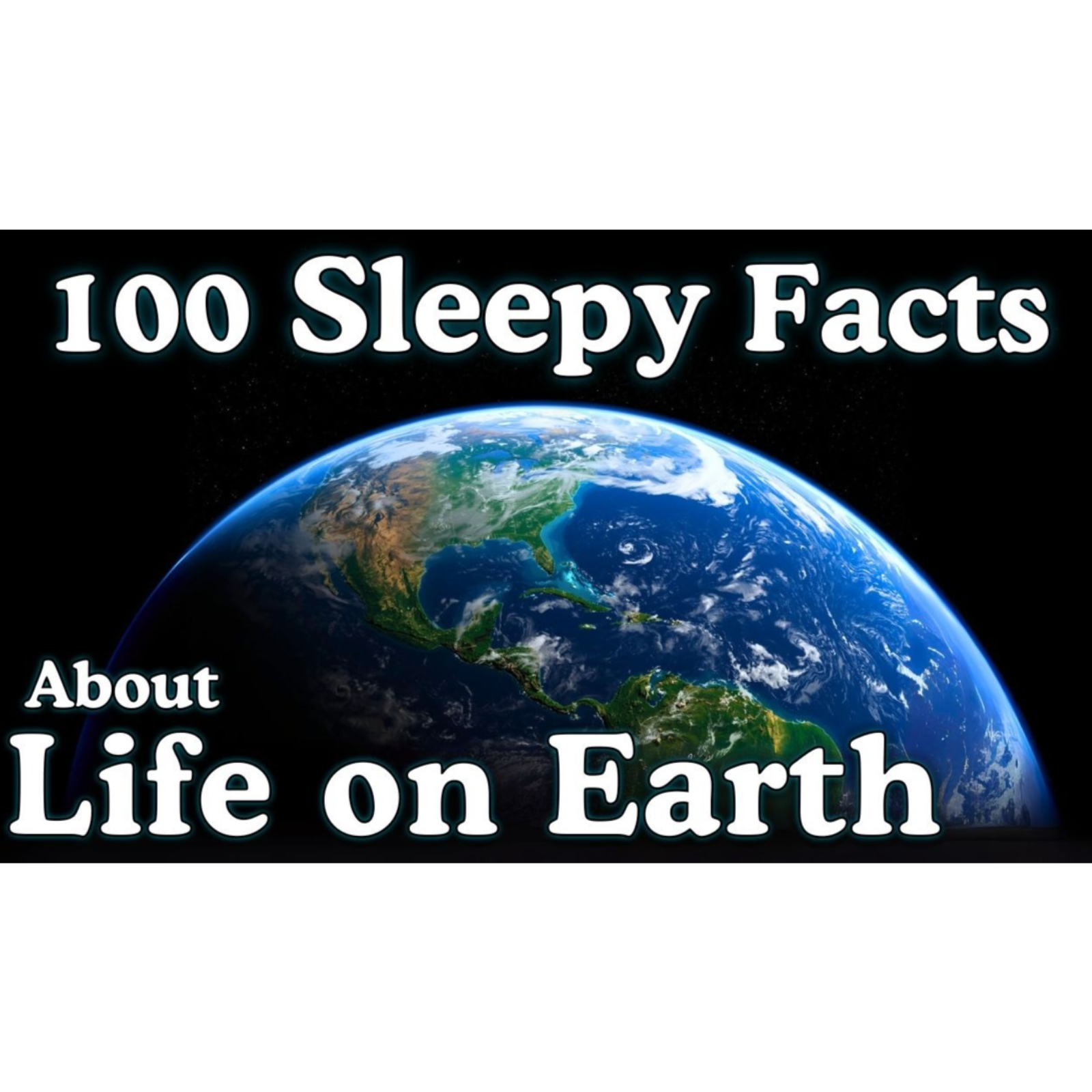 The Most Relaxing Facts About Life on Earth to Fall Asleep To