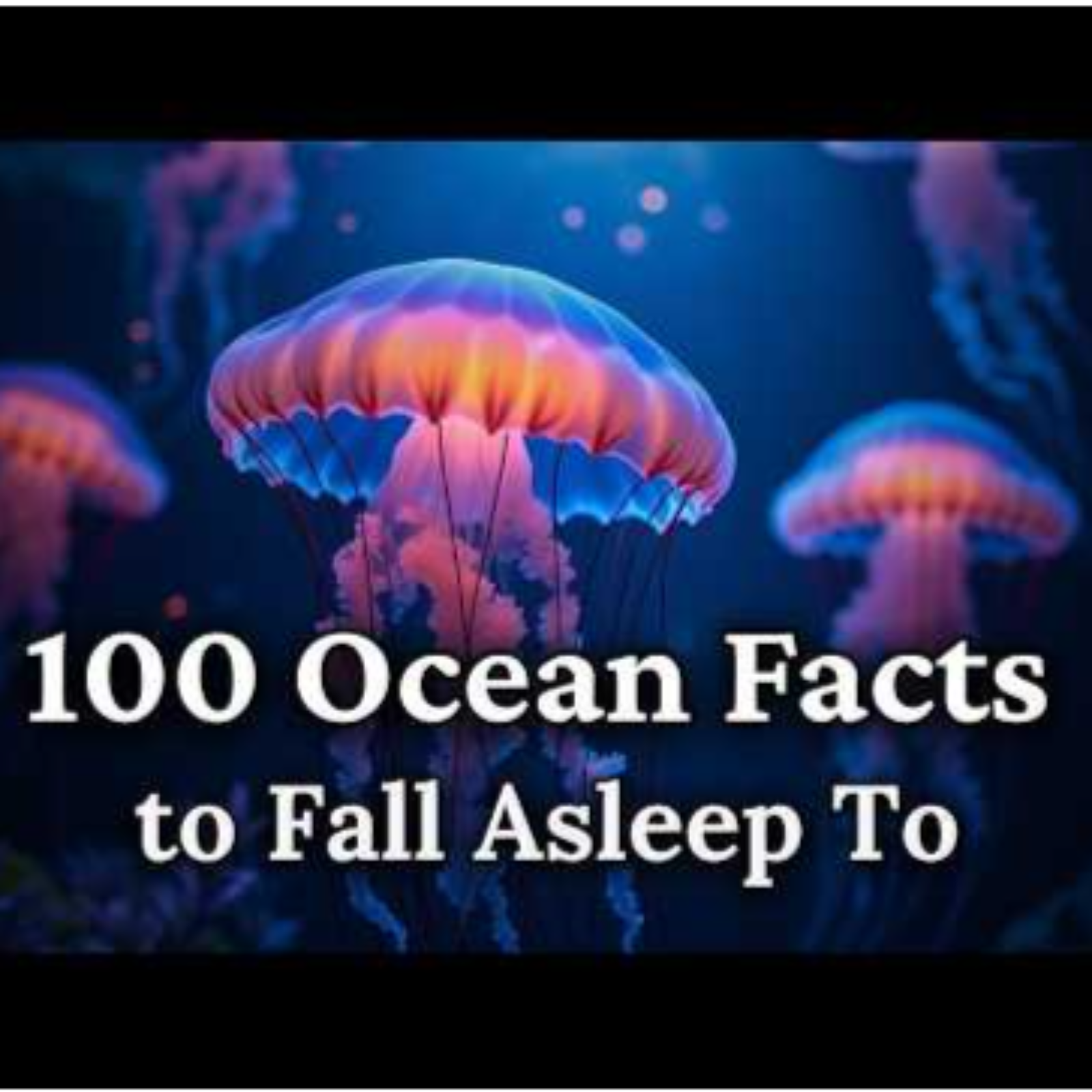 The Most Relaxing Facts About The Sea to Fall Asleep To