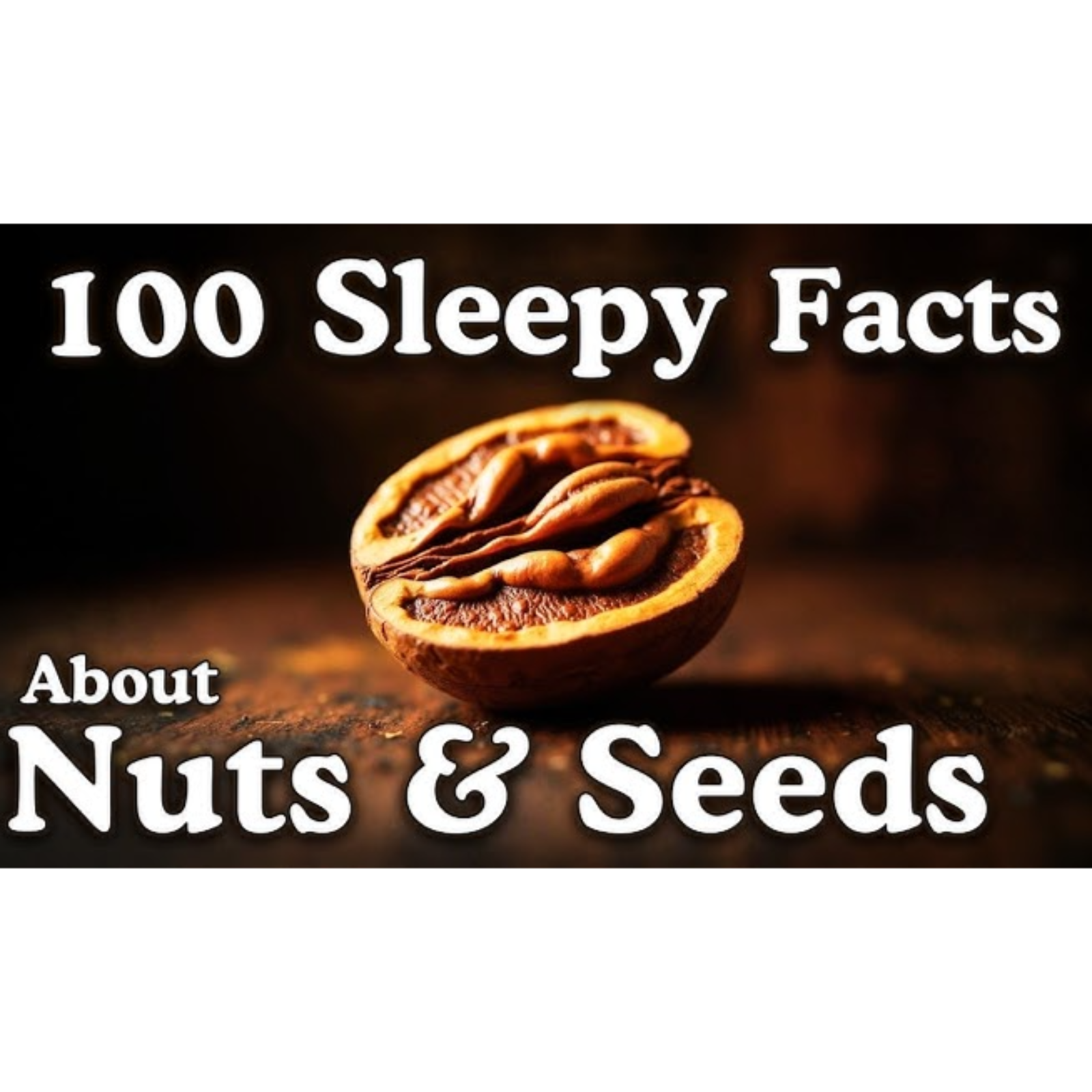 The Most Relaxing Facts About Nuts _ Seeds to Fall Asleep To _ No Adverts