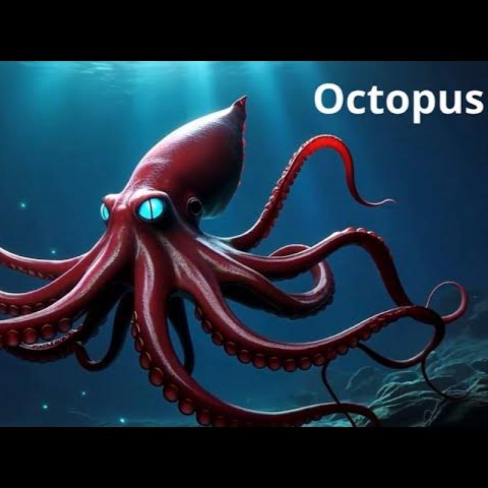 The Most Relaxing Facts About The Sea to Fall Asleep To