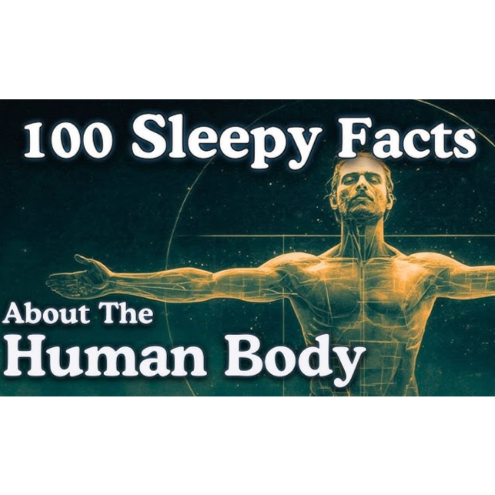 The Most Relaxing Facts About The Human Body to Fall Asleep To