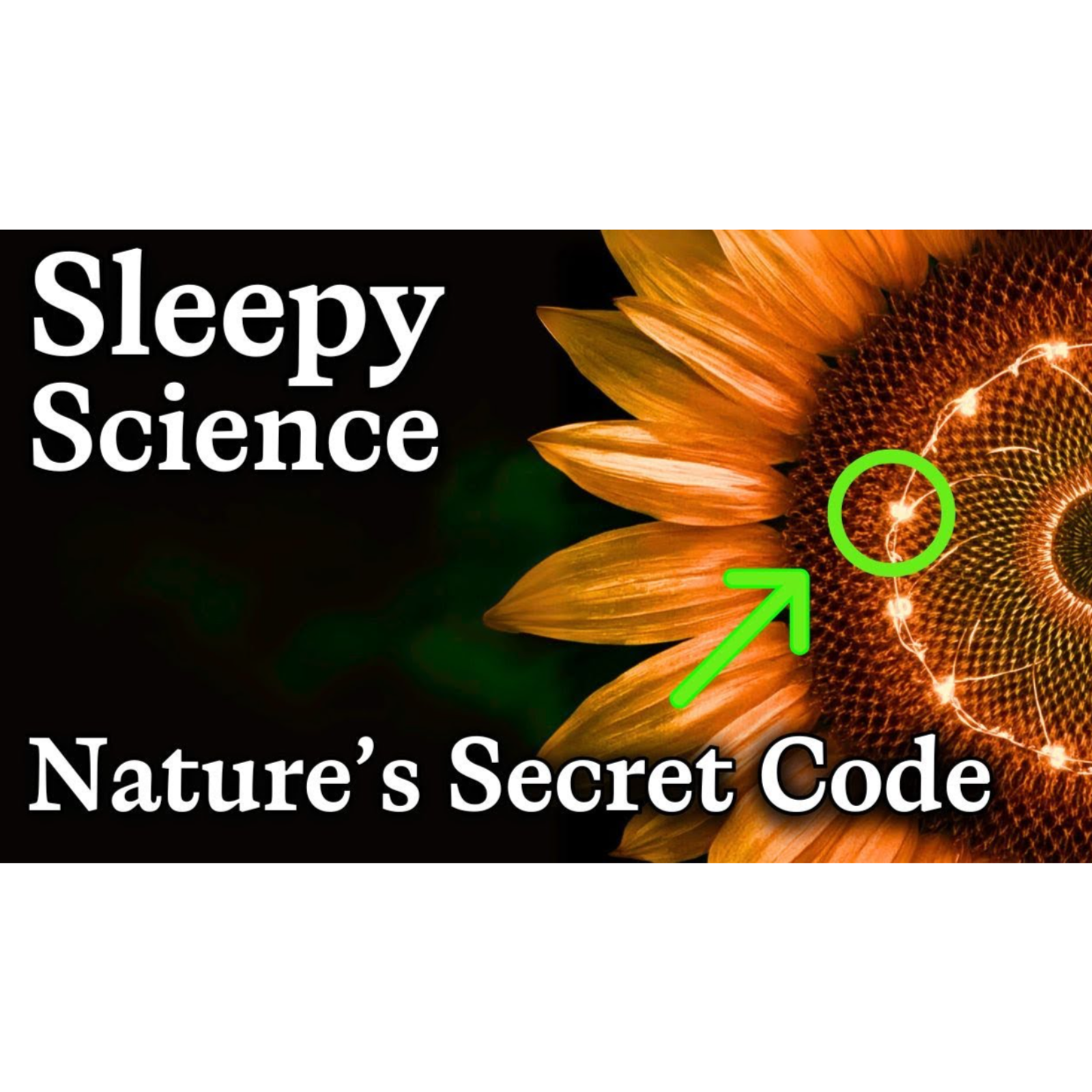 The Fibonacci Sequence Explained _ Relaxing Science to Fall Asleep To