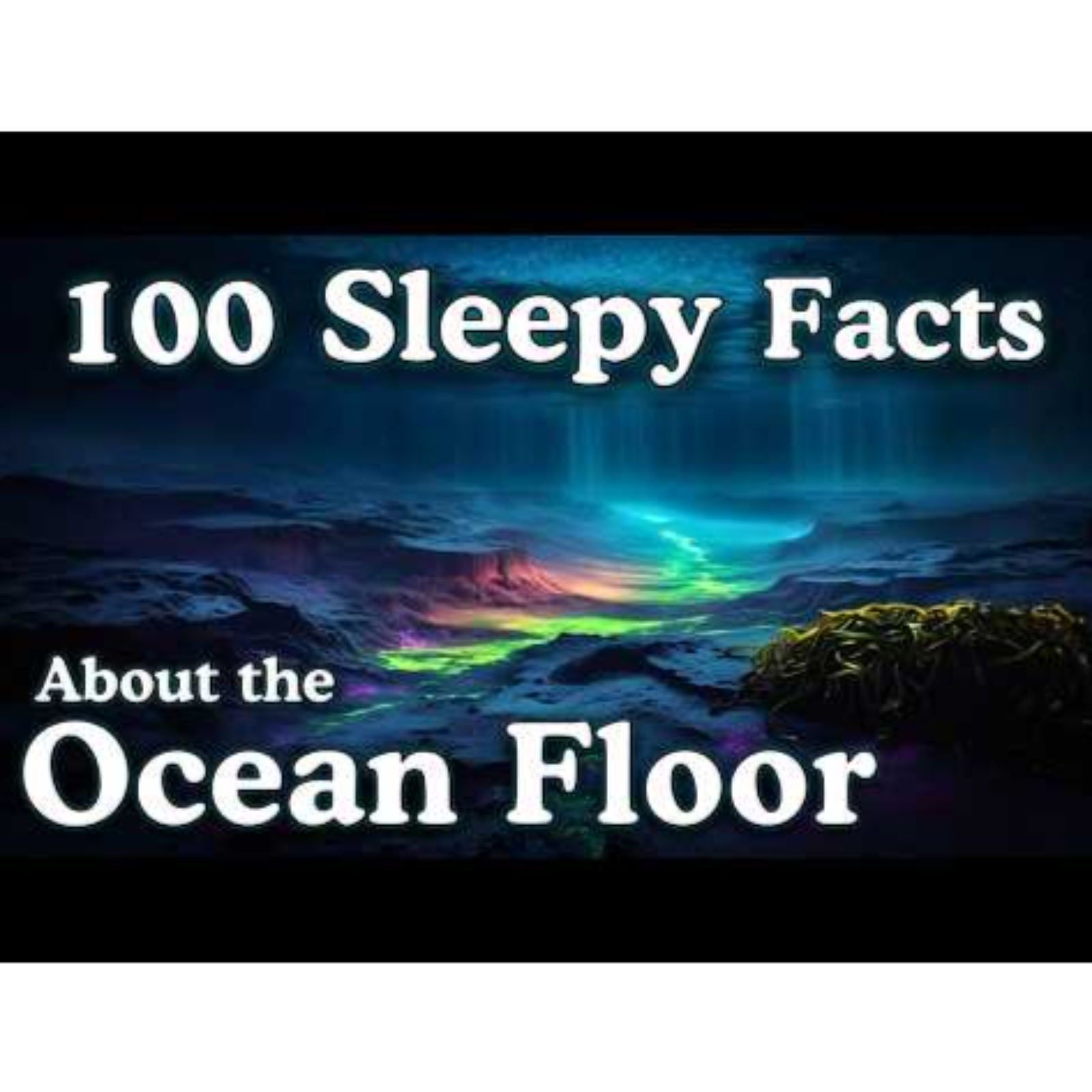 The Most Relaxing Ocean Facts to Fall Asleep To _ Dreamy Science