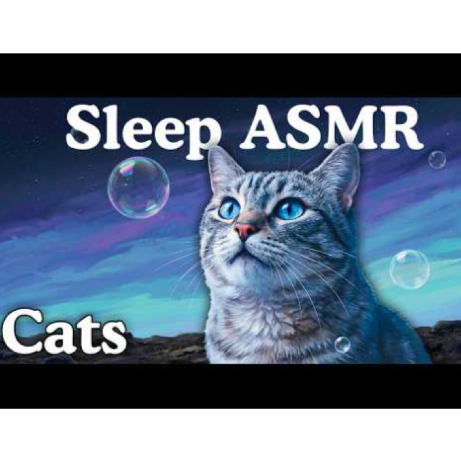 The Most Relaxing Facts About Cats To Fall Asleep To