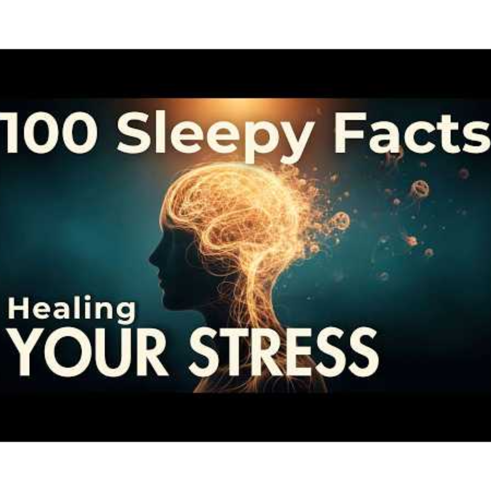 How Does Stress Change Your Dream Content_ Relaxing Dream Facts To Fall Asleep To -  No Adverts