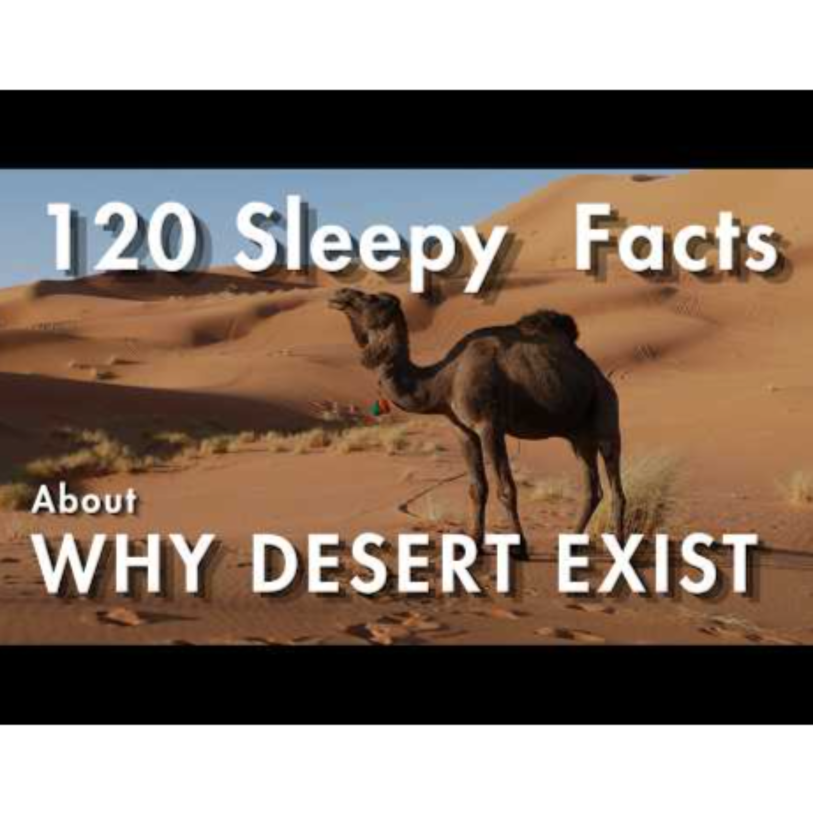 Why Deserts Exist Incredible Facts About the World's Deserts  Nature, Science & Survival