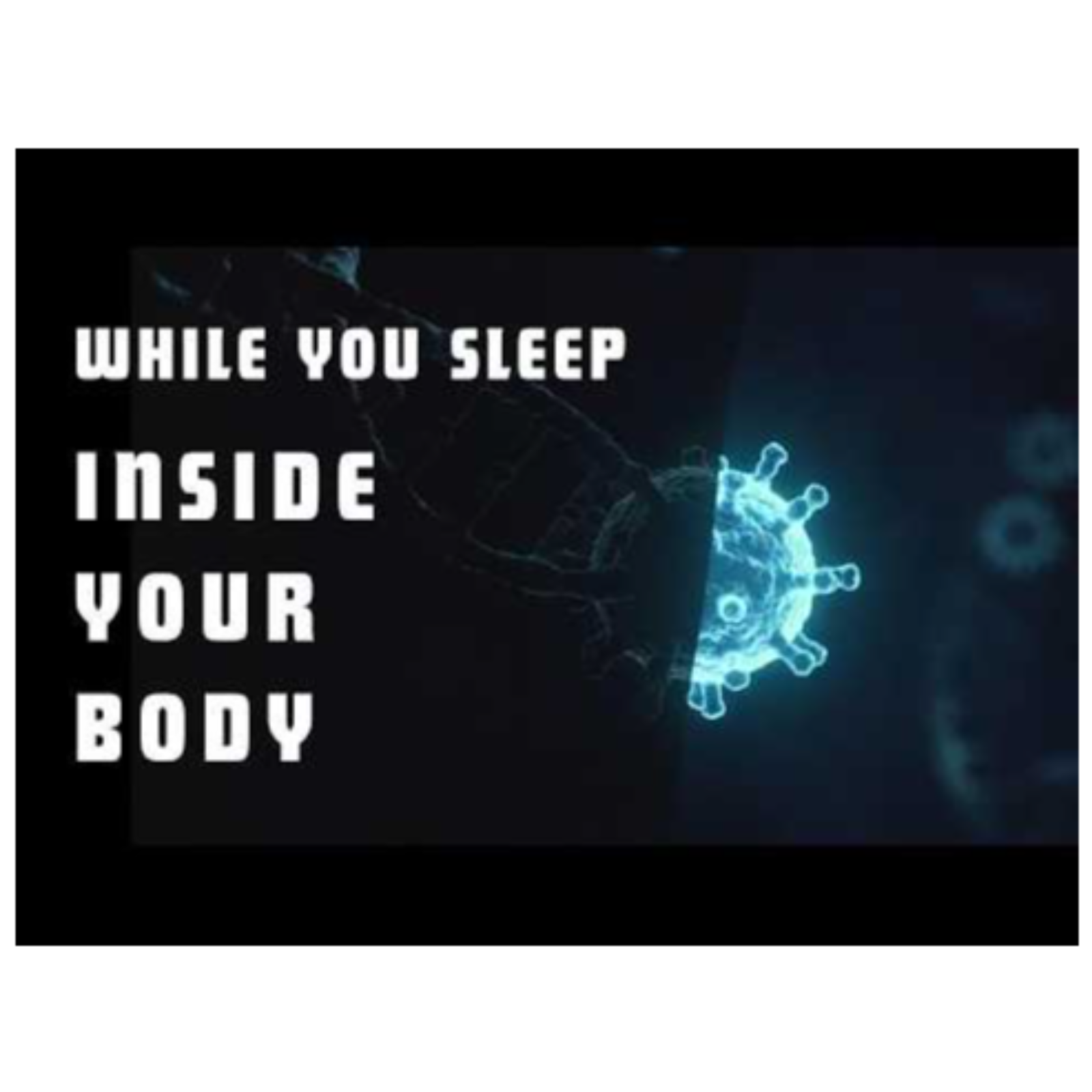 How Cells Work Inside Your Body  Boring Sleepy Science