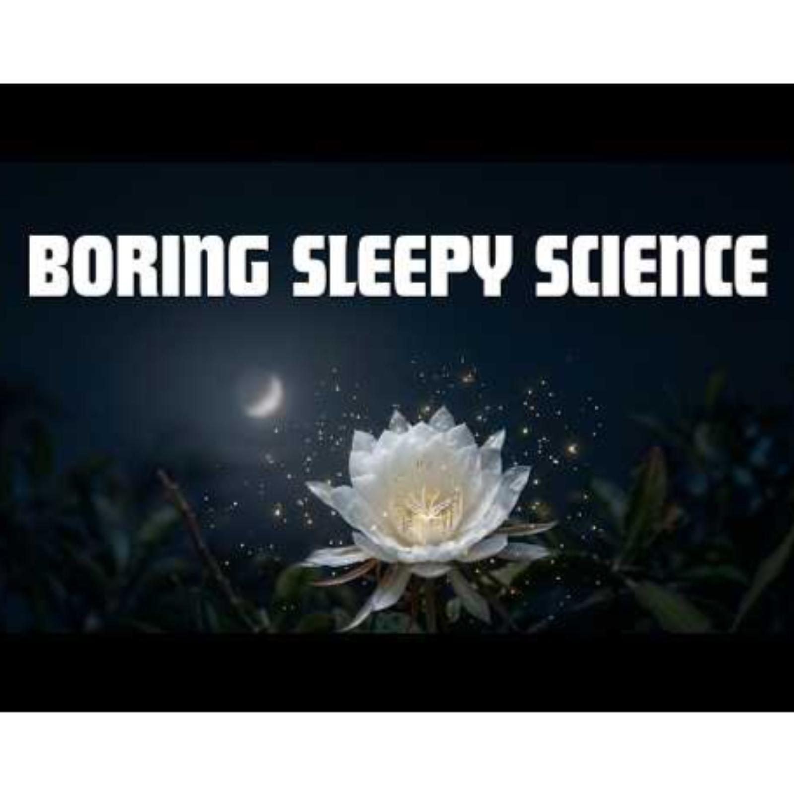 The Secret Life of Plants 🌿  Calm Botany Documentary for Sleep