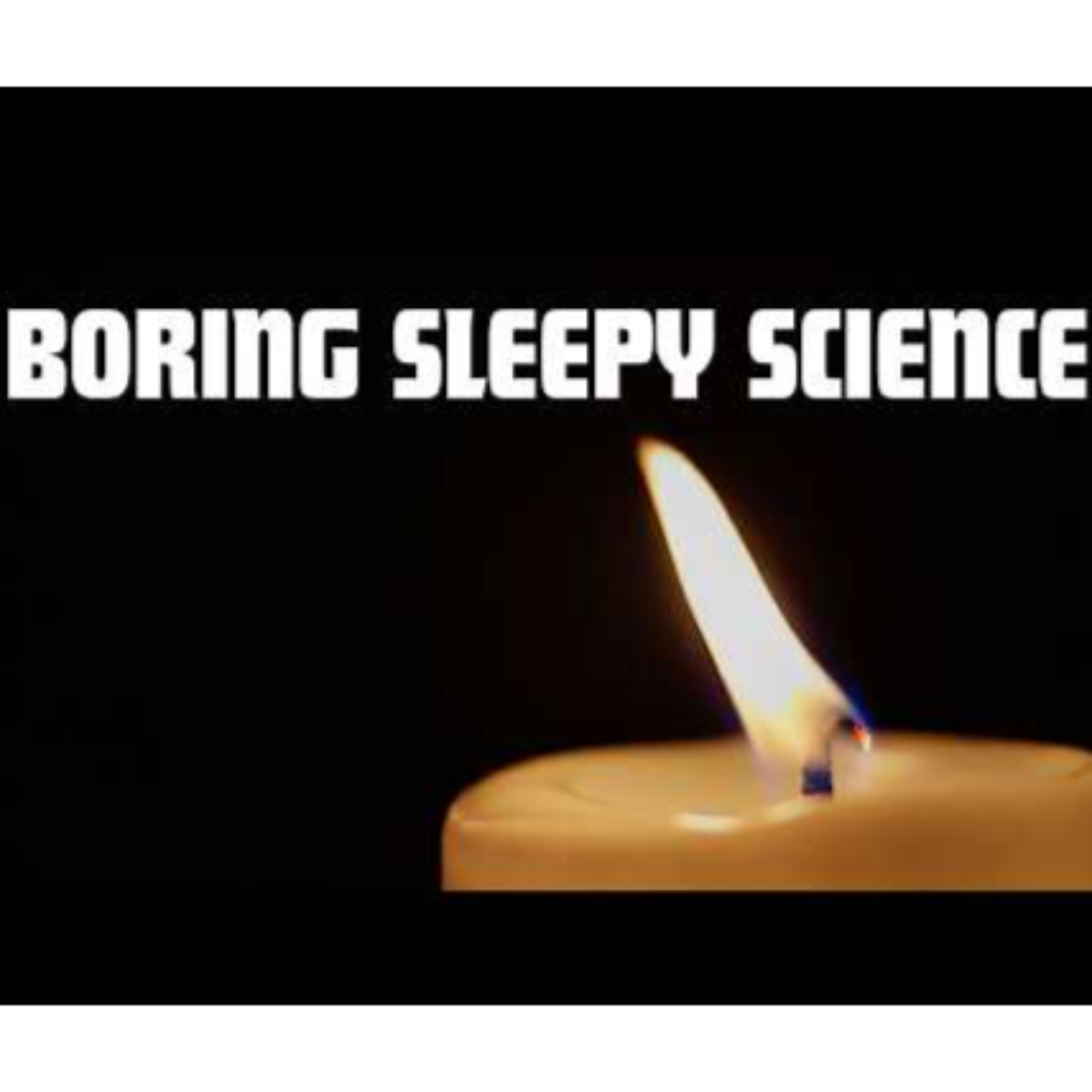 Healing Happens in the Dark  The Silent Intelligence of Your Body