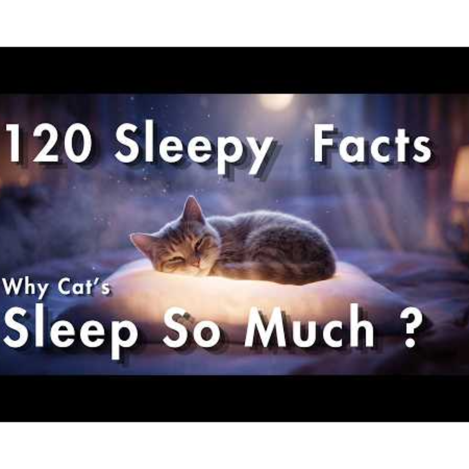 Why Do Cats Sleep So Much_ _ 120 Relaxing Science Facts for Sleep