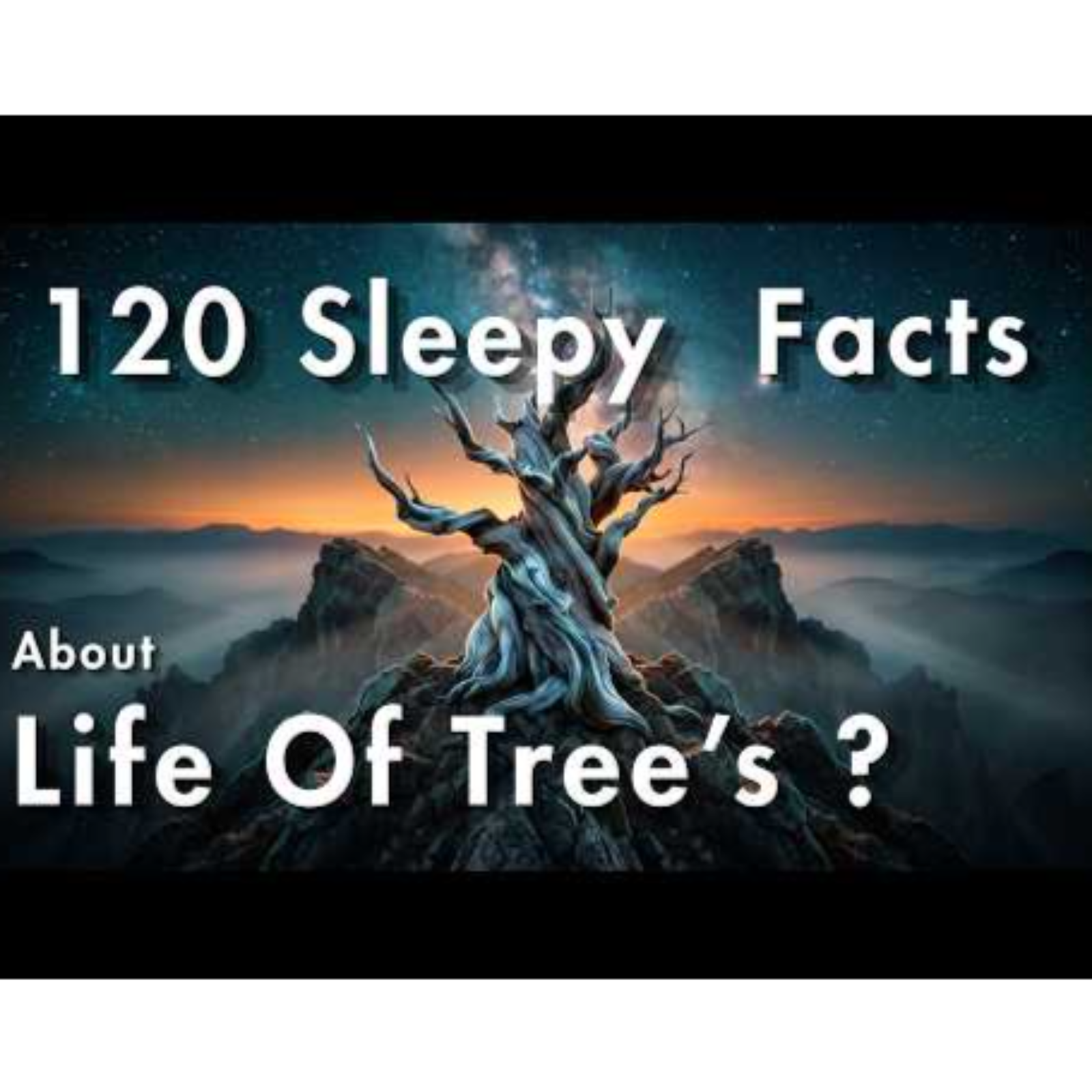 The Life of Trees 🌲 _ Relaxing Sleep Science Documentary for Deep Sleep