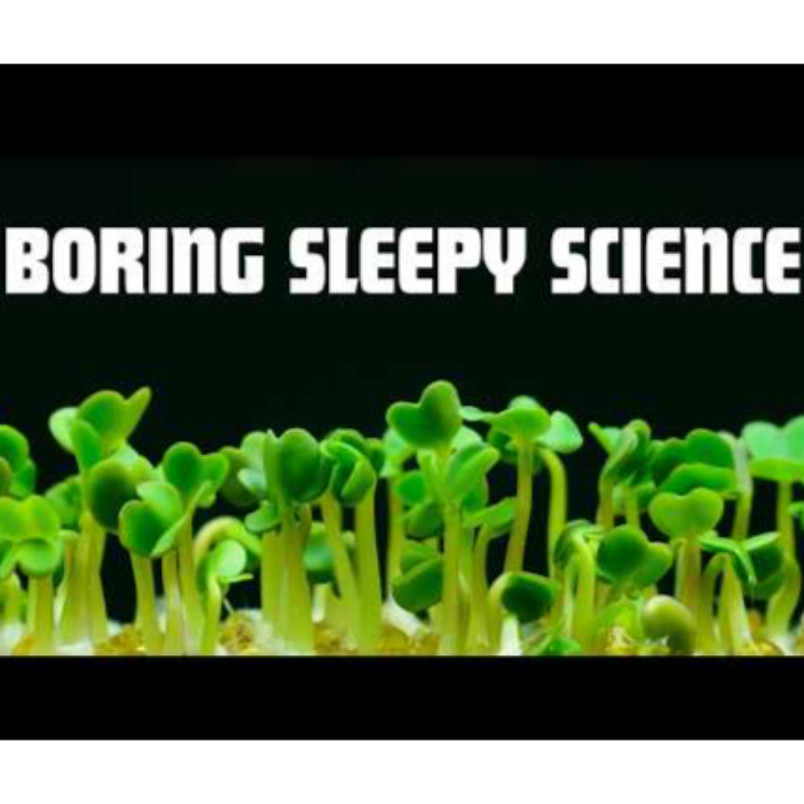 The Secret Life of Plants _ Evolution_ Intelligence_ and the Silent Architects of Earth