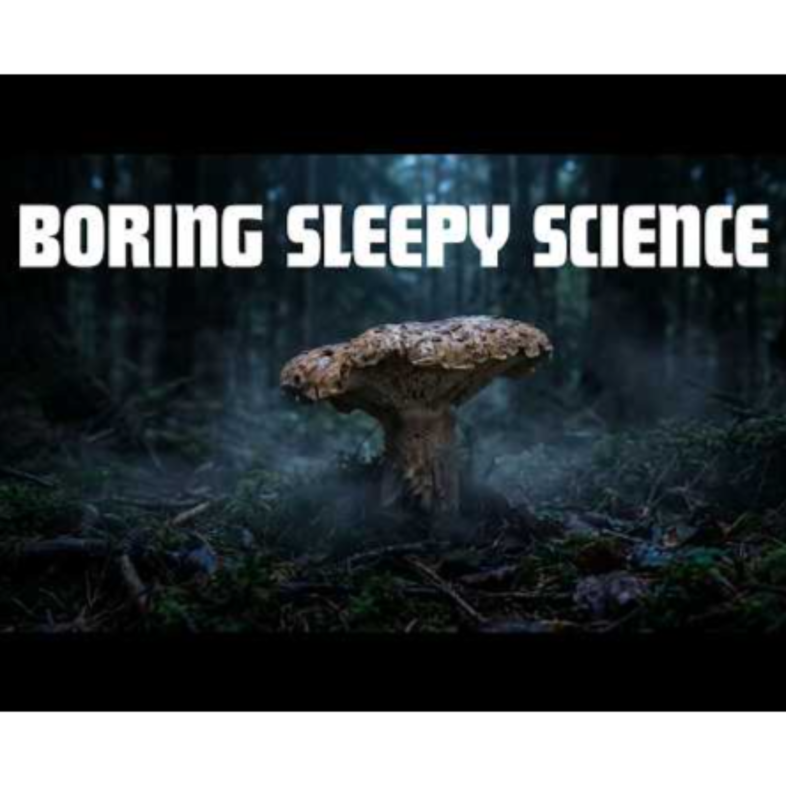 Whispers of the Night Forest 🍄 _ Deep Sleep Meditation with Calm Nature Sounds