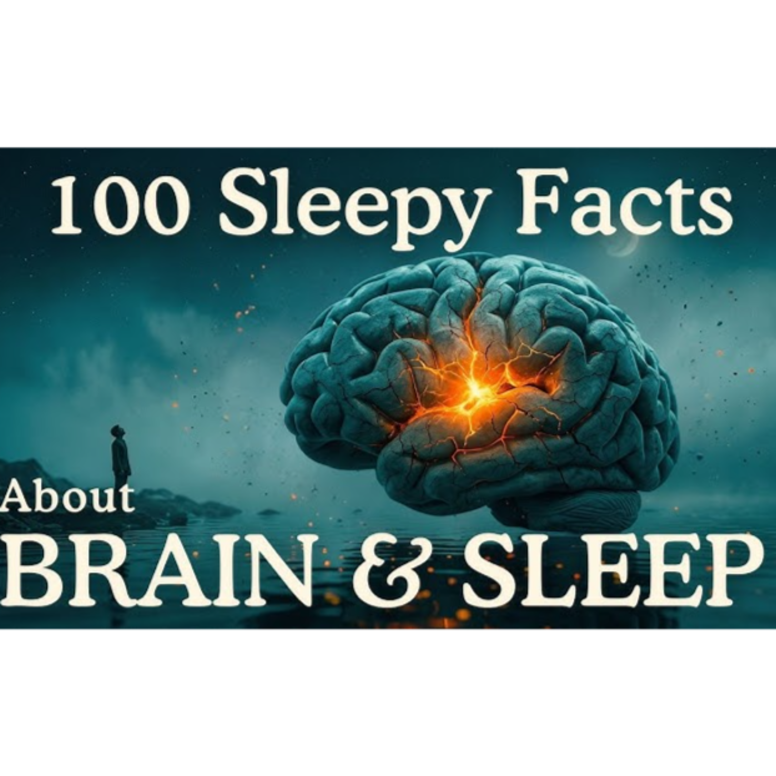 What Happens to Your Brain When You Don_t Sleep _ Sleep Science