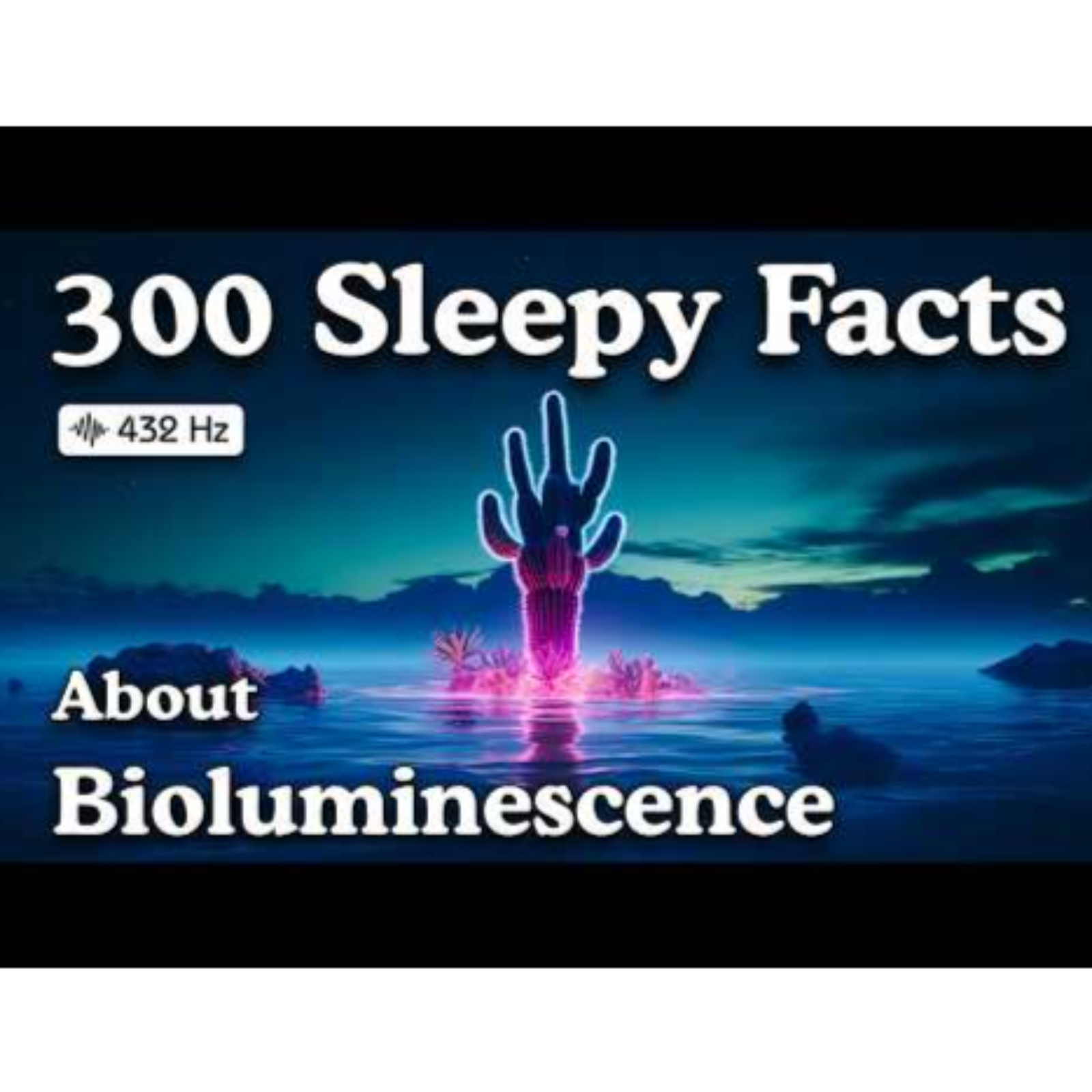 The Most Relaxing Facts About Bioluminescence To Fall Asleep To _ No Ads