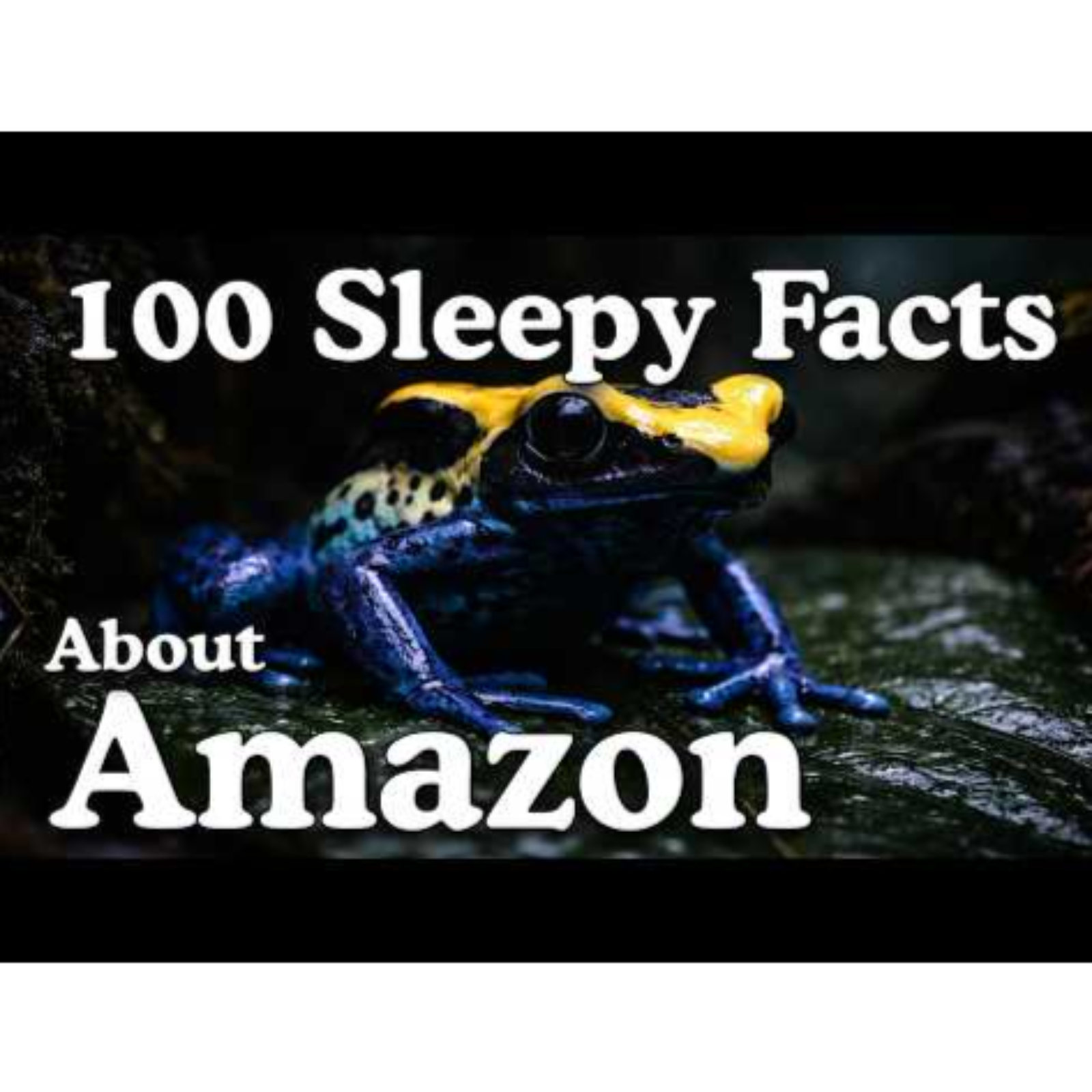 The Most Relaxing Facts About The Amazons To Fall Asleep To _ No Ads