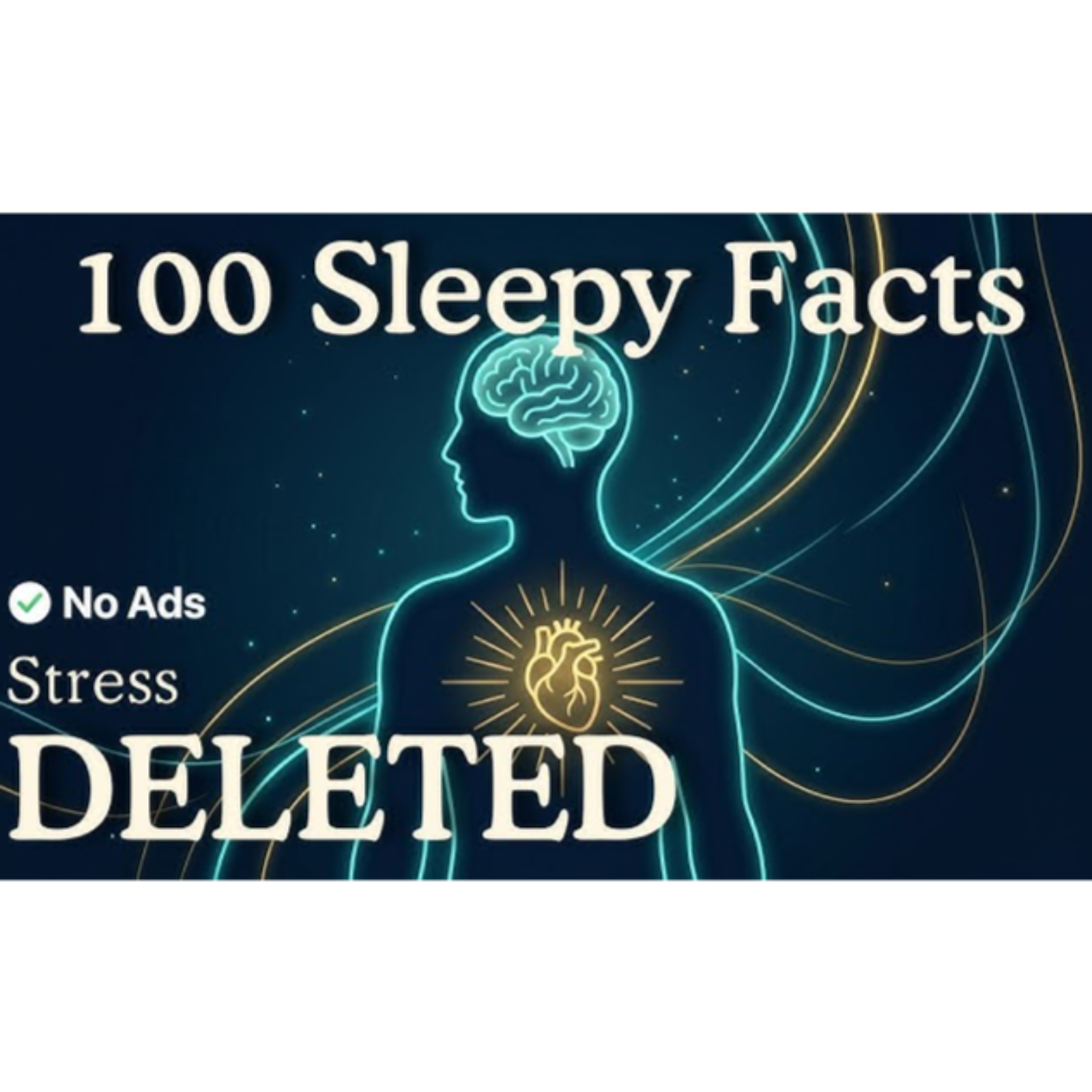 The Power of Nightly Affirmations_ Relaxing Facts To Fall Asleep To