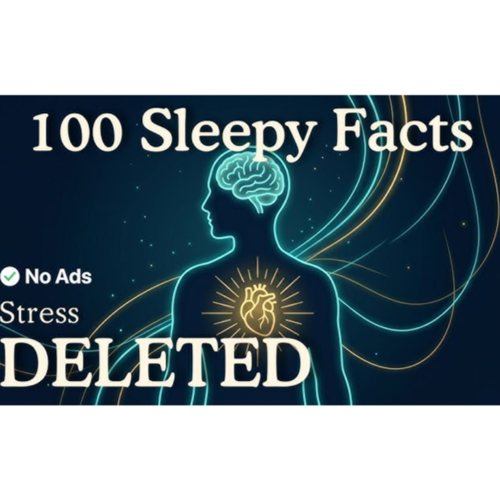 Why Your Brain Forgets Stress Overnight_ Relaxing Facts To Fall Asleep To - No Ads