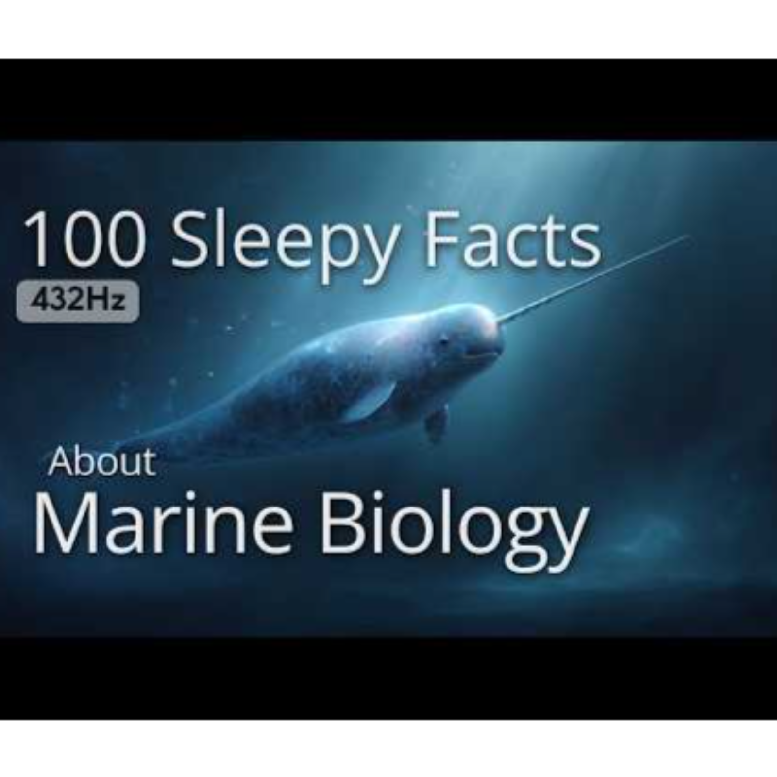 The Most Relaxing Facts About Marine Biology to Fall Asleep To