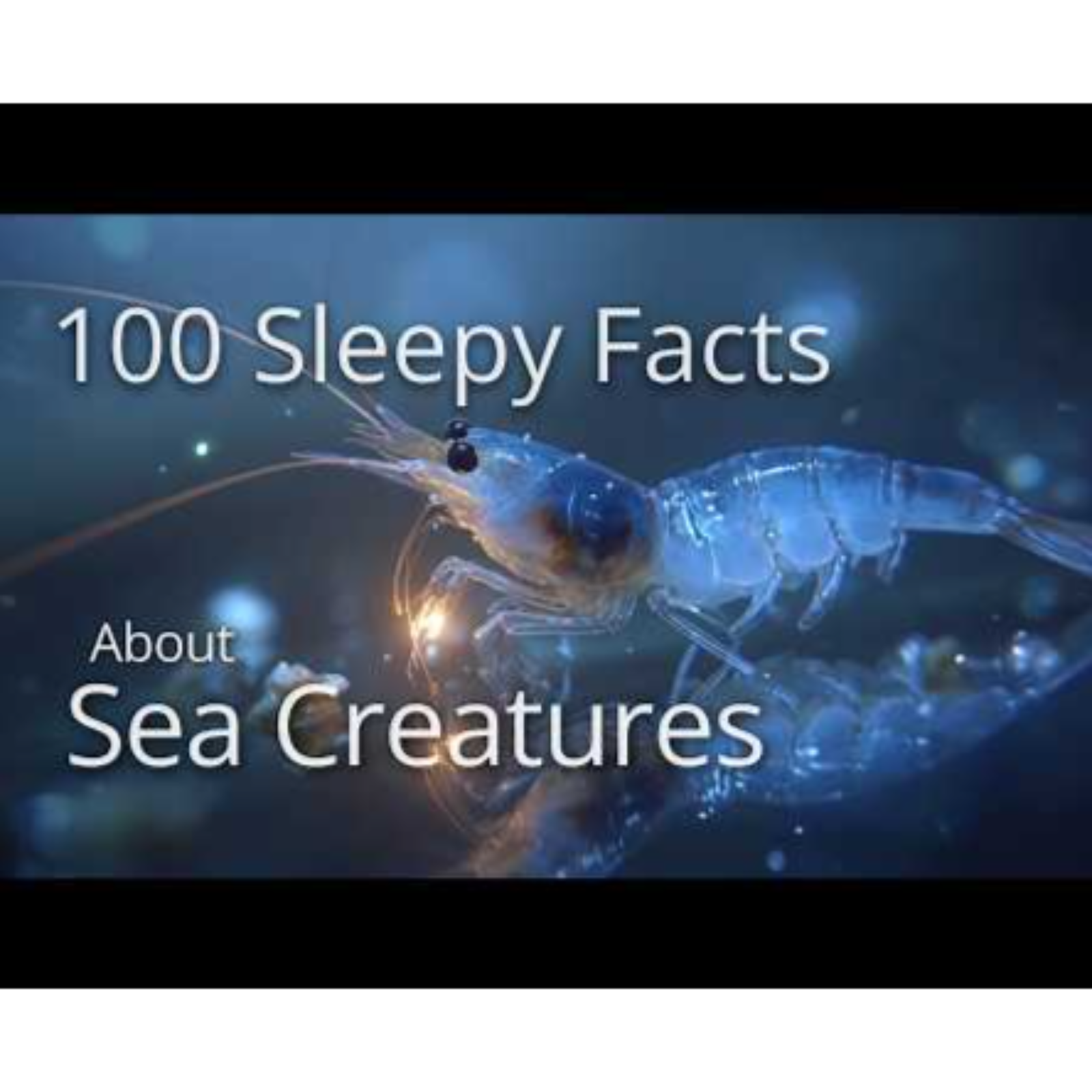 The Most Relaxing Facts About Sea Creatures to Fall Asleep To