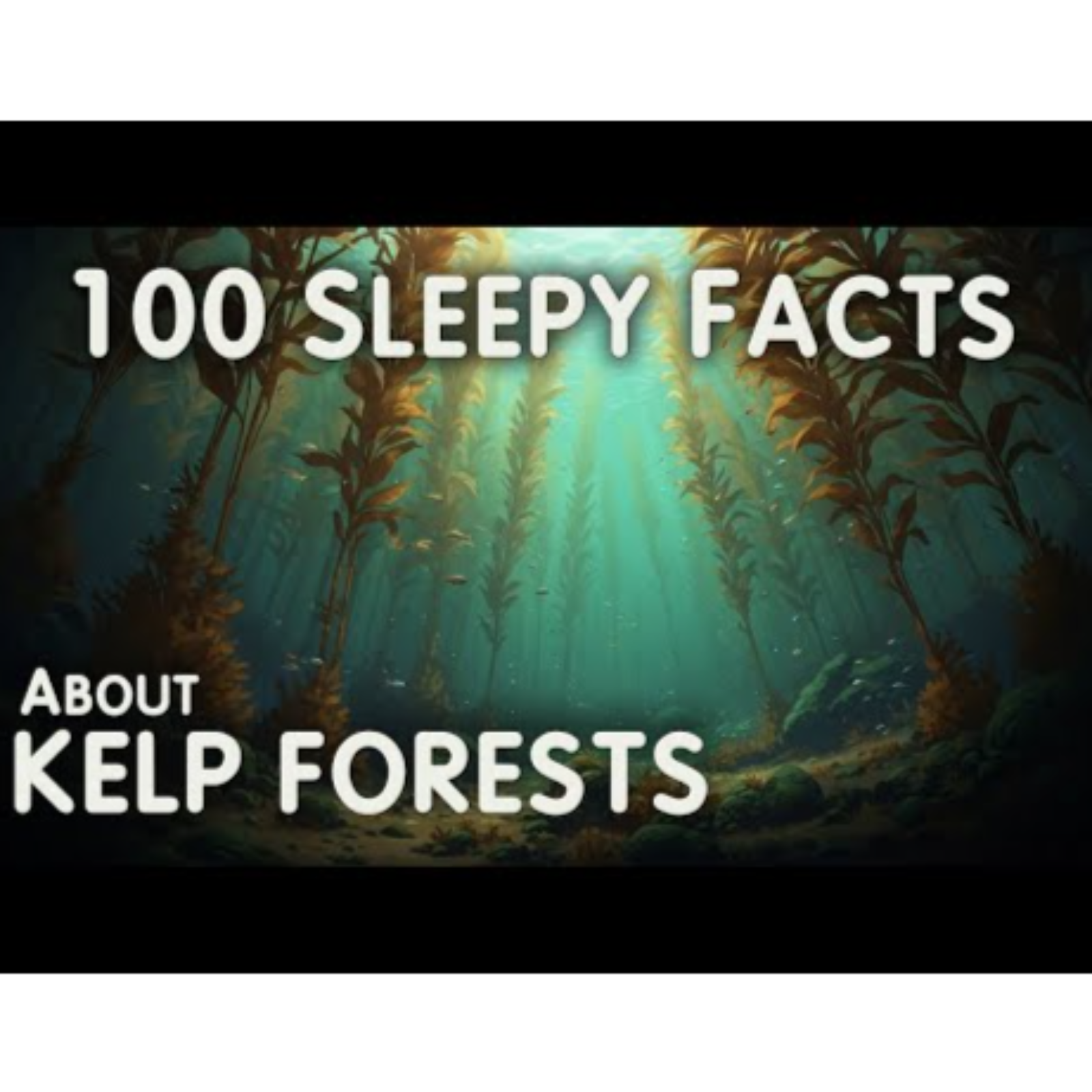 The Most Relaxing Facts About Sleep to Fall Asleep To - Science for Sleep