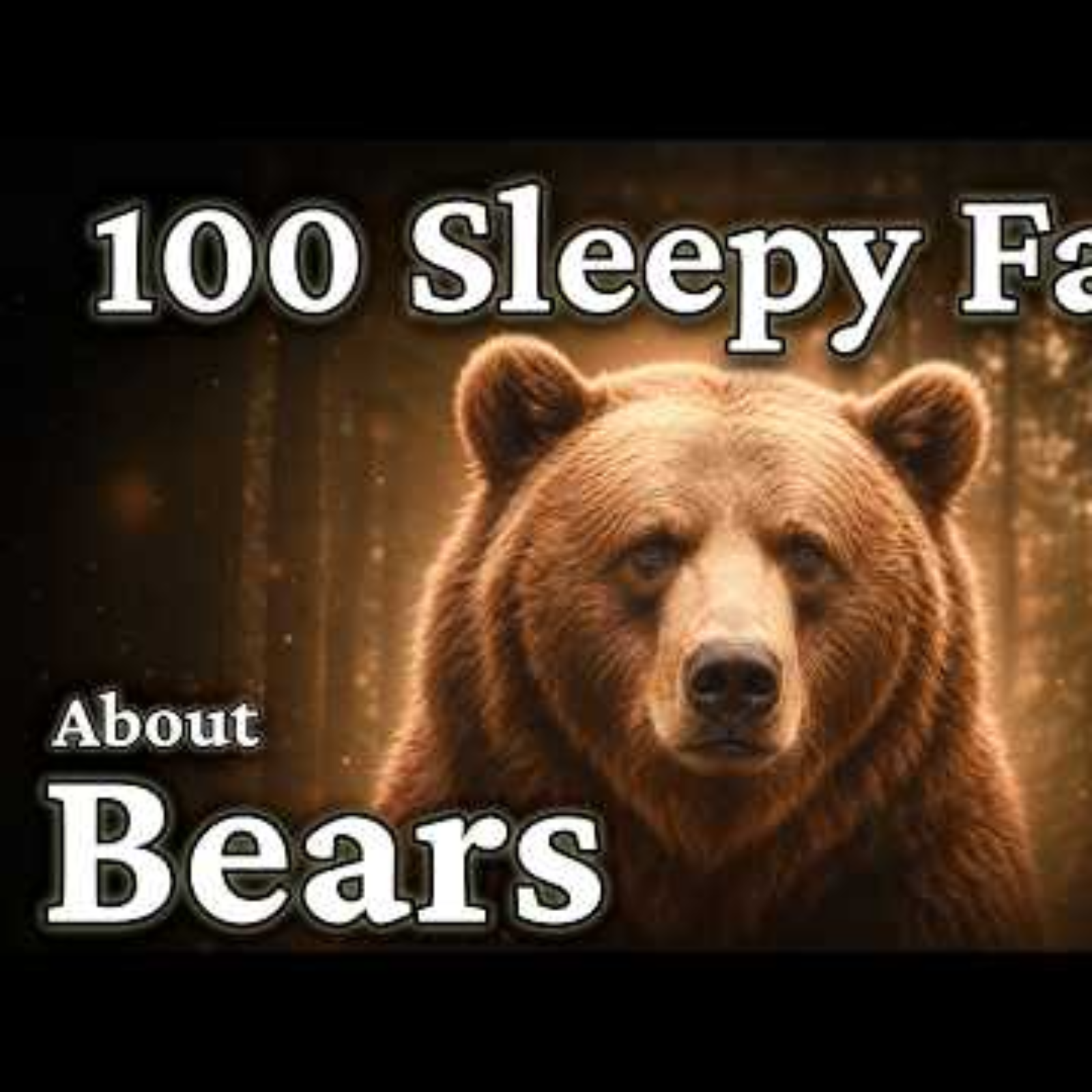 The Most Relaxing Facts About Seasons to Fall Asleep To – Science for Sleep