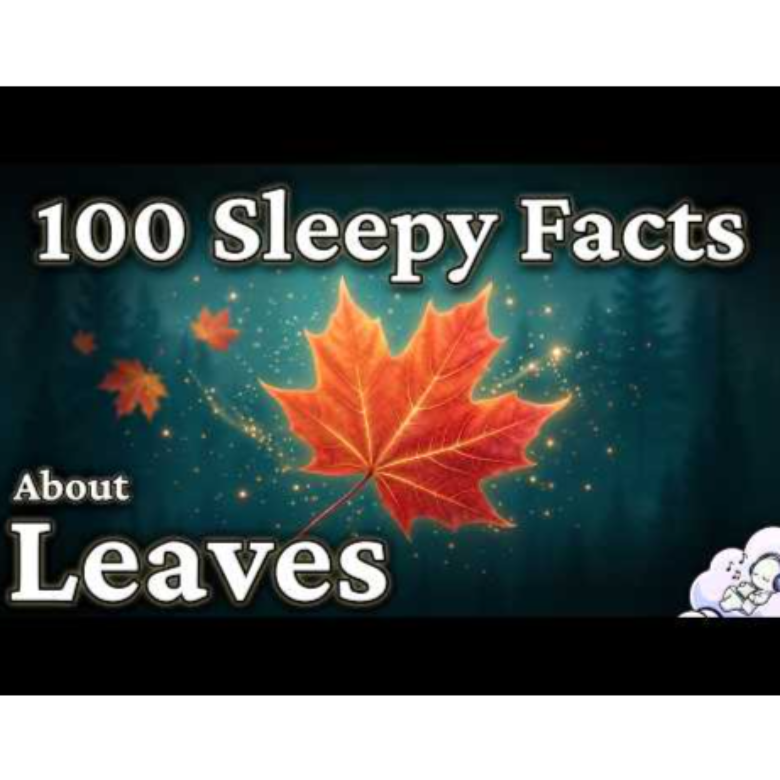 The Most Relaxing Facts About Seasons to Fall Asleep To – Science for Sleep