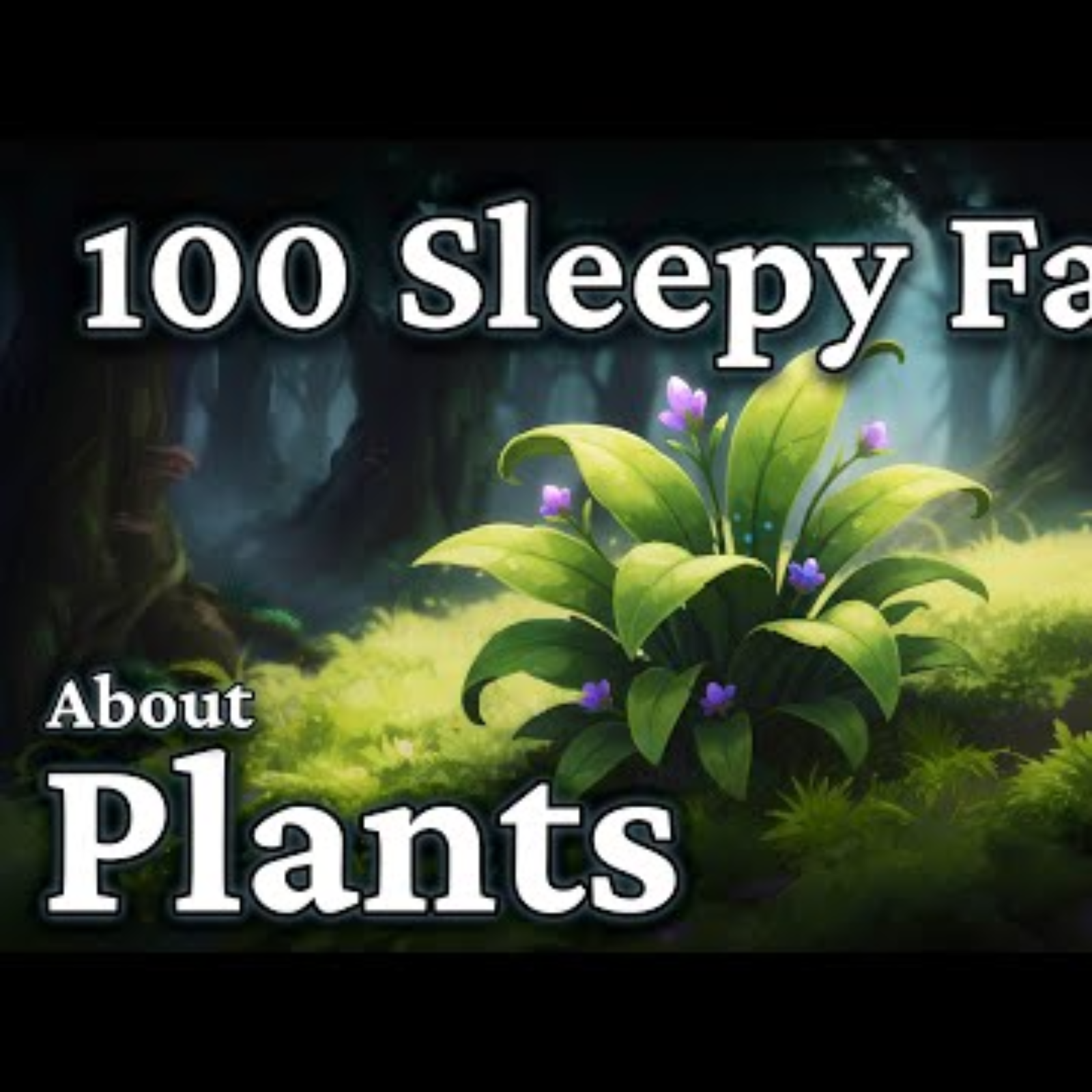 The Most Relaxing Facts About Plants to Fall Asleep To