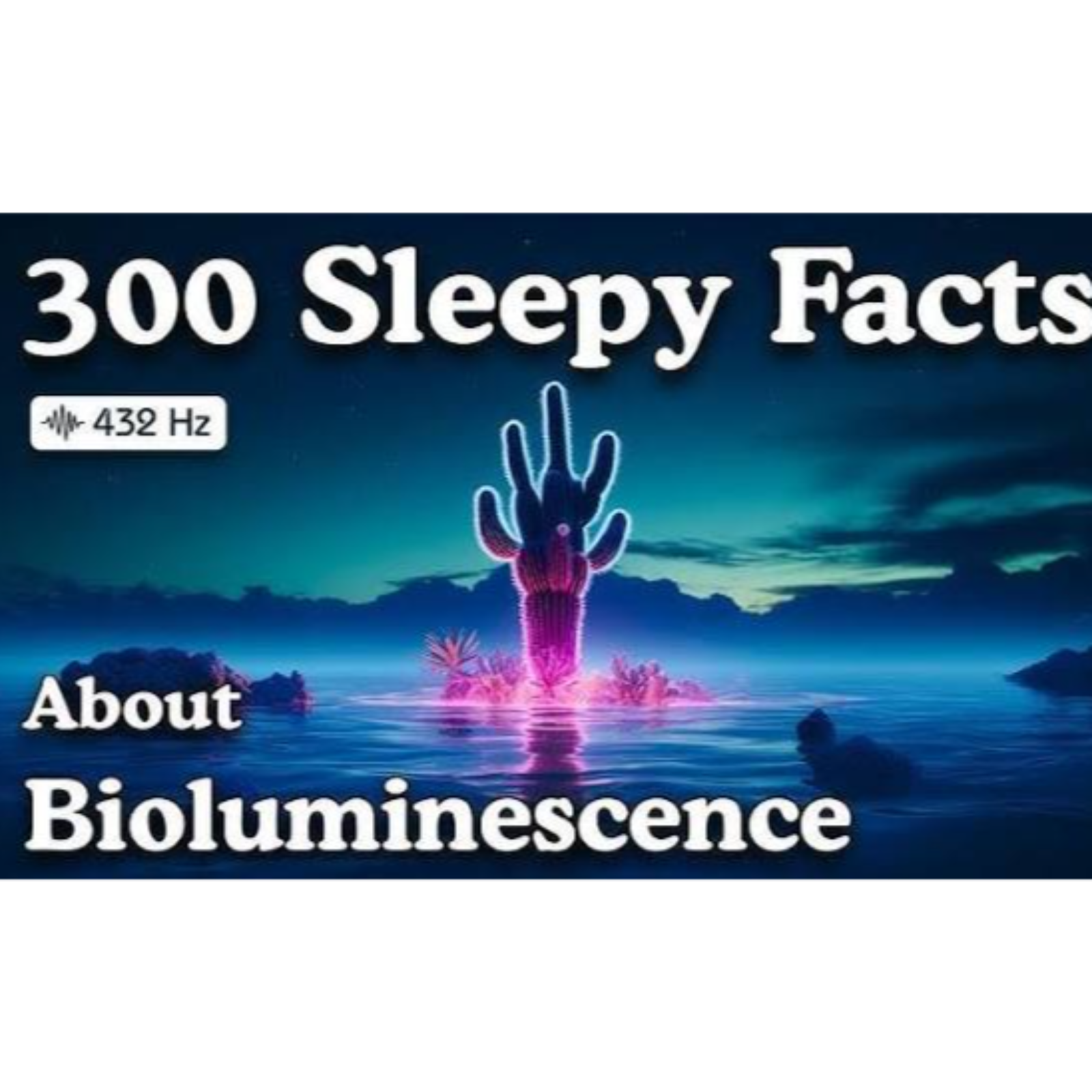 The Most Relaxing Facts About Bioluminescence To Fall Asleep To _ No Ads